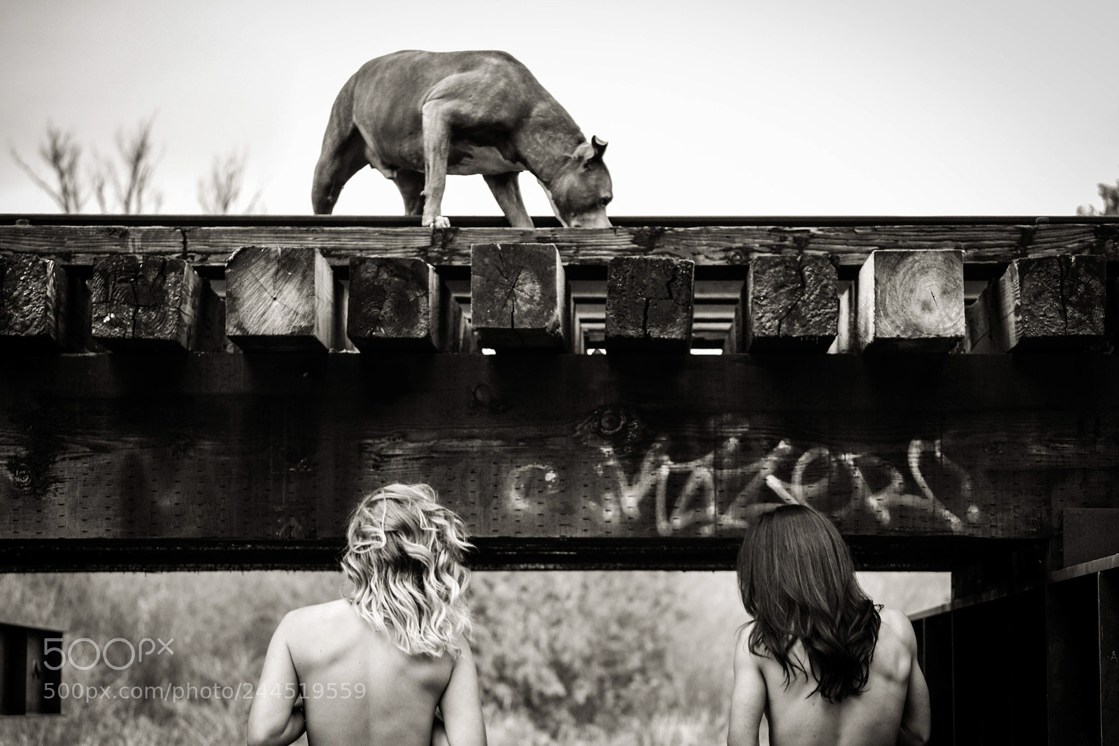 Nikon D3400 sample photo. Topless tracks photography