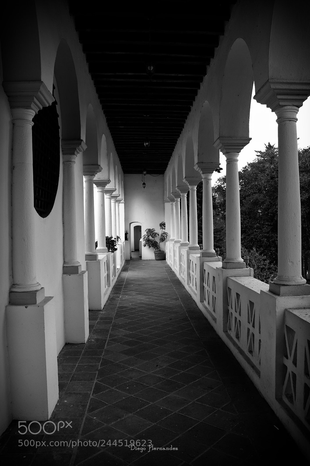 Canon EOS 800D (EOS Rebel T7i / EOS Kiss X9i) sample photo. Pasillo en el hotel photography