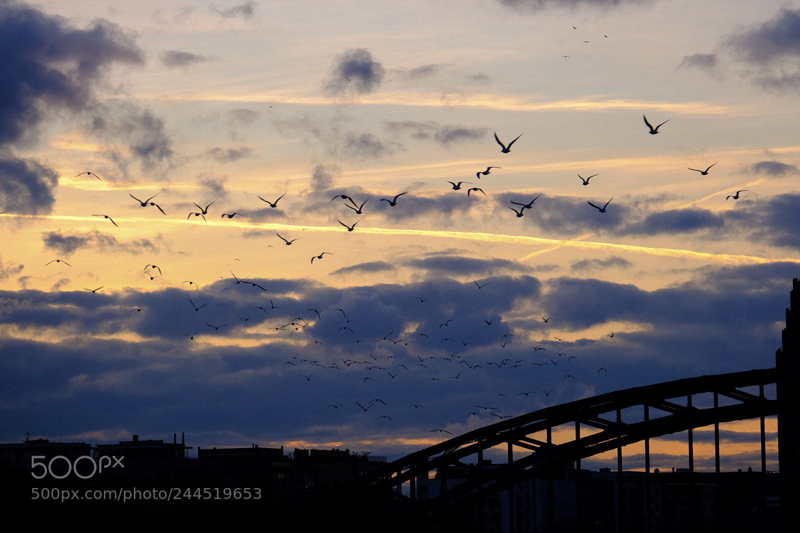 Fujifilm X-T20 sample photo. They fly away photography