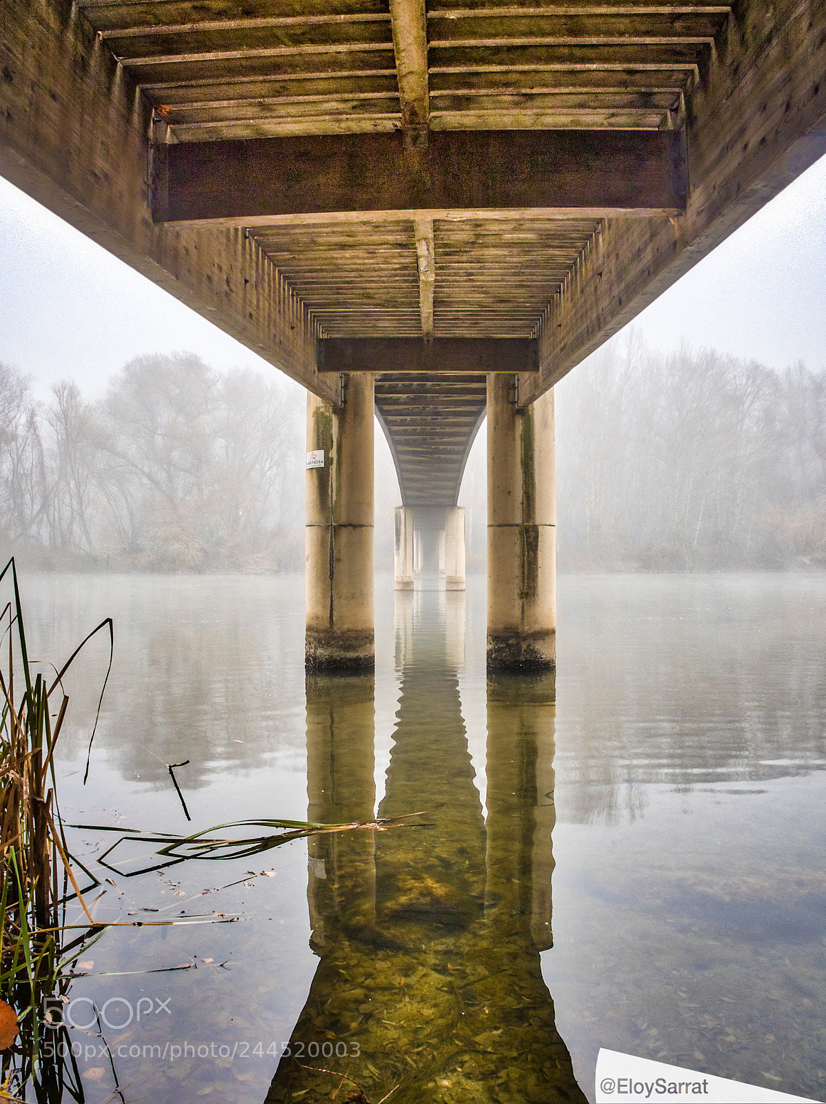 Olympus OM-D E-M5 II sample photo. The beauty of the photography