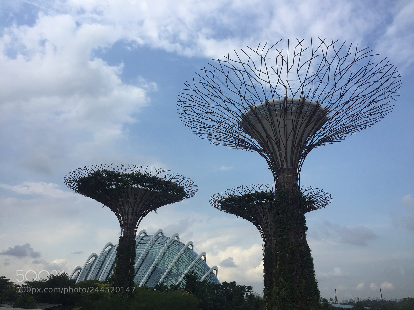 Apple iPhone 6 sample photo. Gardens by the bay photography