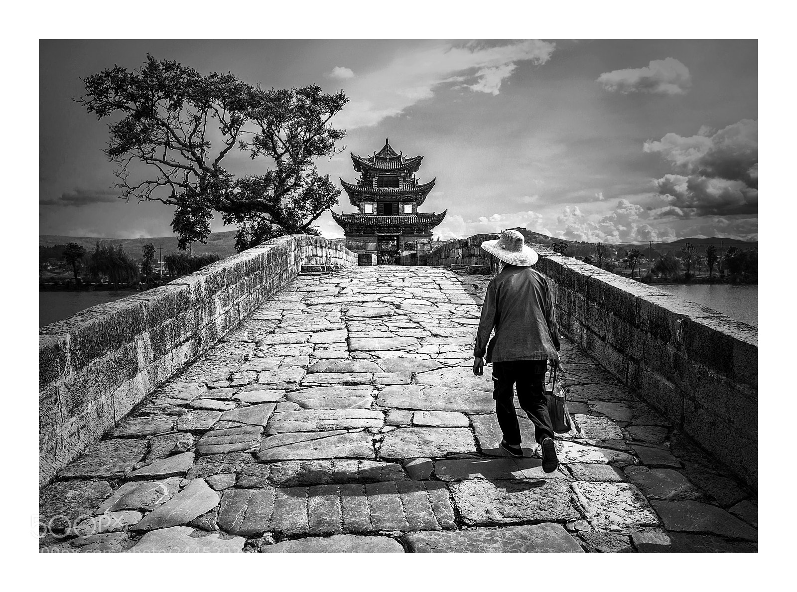 Nikon D800 sample photo. Shuanglon bridge b&w photography
