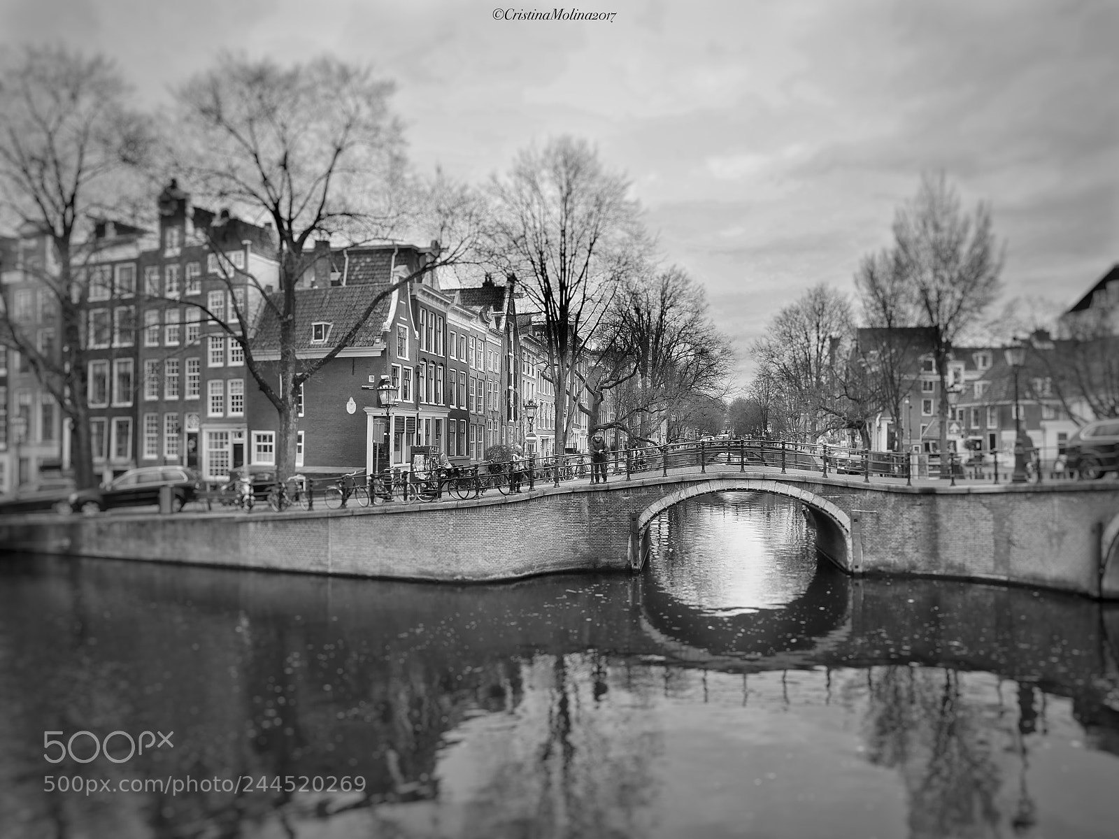Olympus OM-D E-M1 Mark II sample photo. Amsterdam 2017 photography