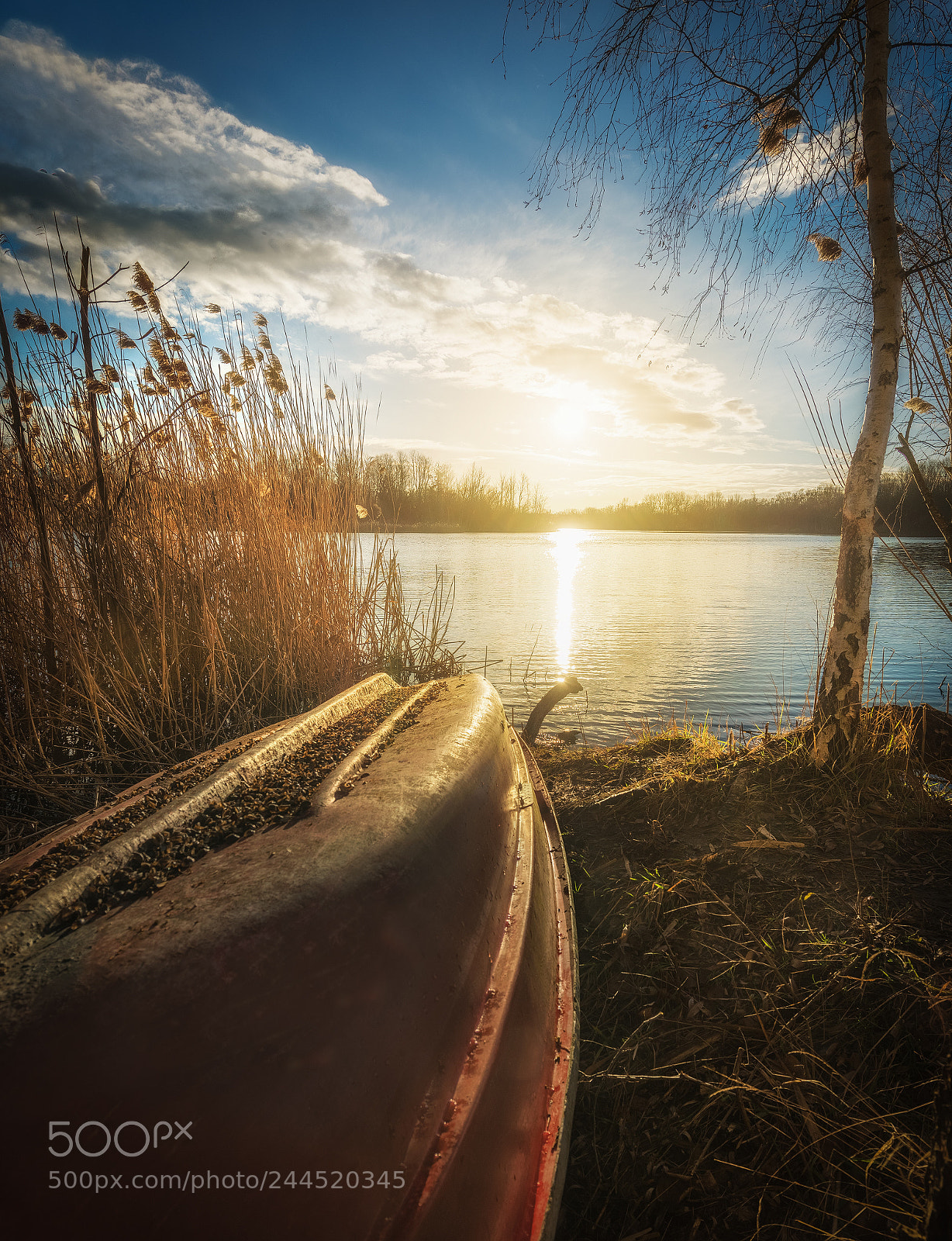 Nikon D810 sample photo. Etwas aus der natur photography