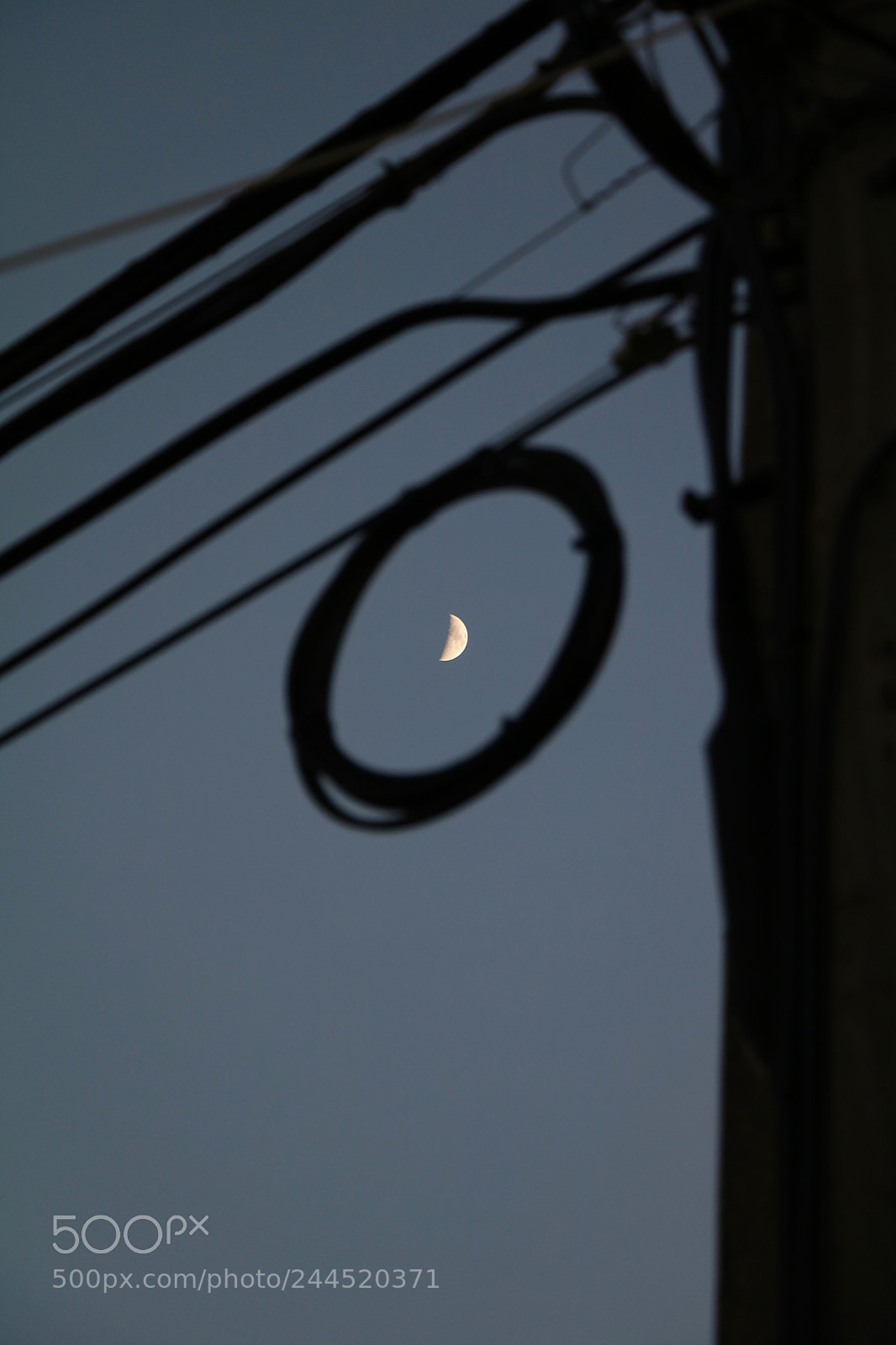 Canon EOS 760D (EOS Rebel T6s / EOS 8000D) sample photo. Catched it photography