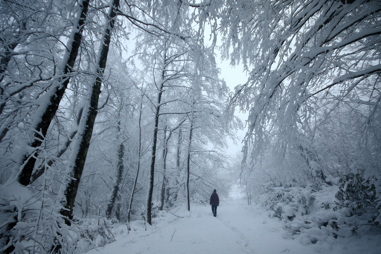 Sigma 10-20mm F4-5.6 EX DC HSM sample photo. Winter photography