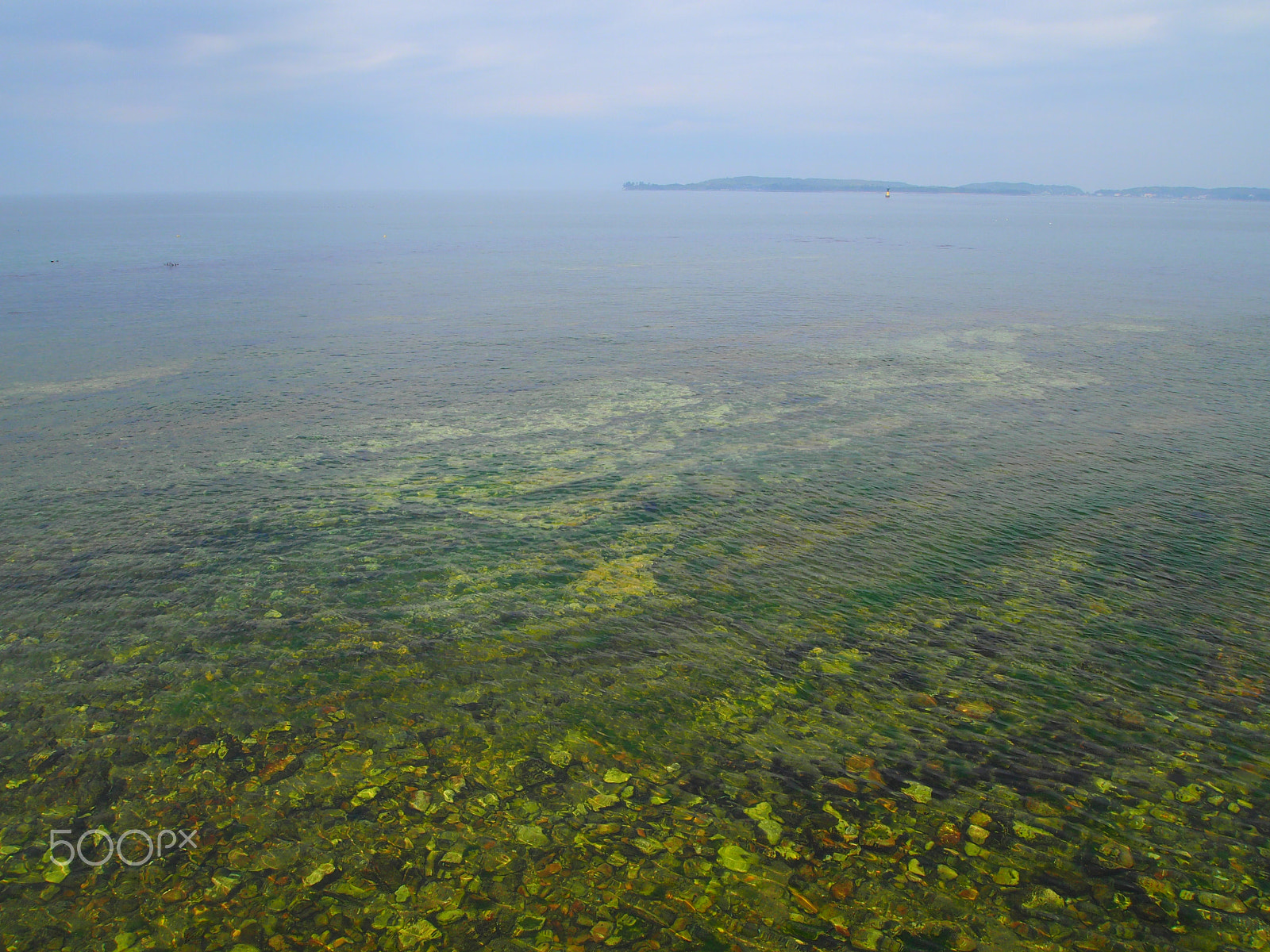 Olympus PEN E-PM1 sample photo. Green sea photography