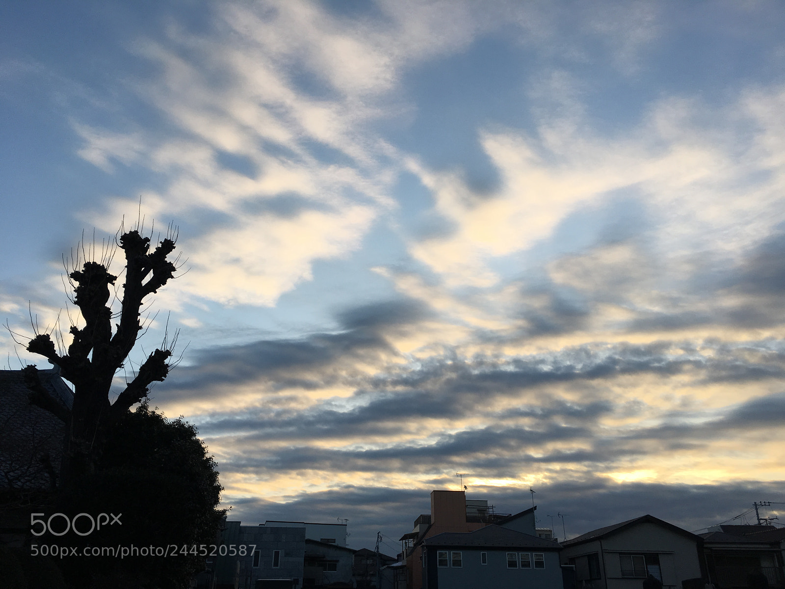 Apple iPhone 6s Plus sample photo. Winter2018 sky photography