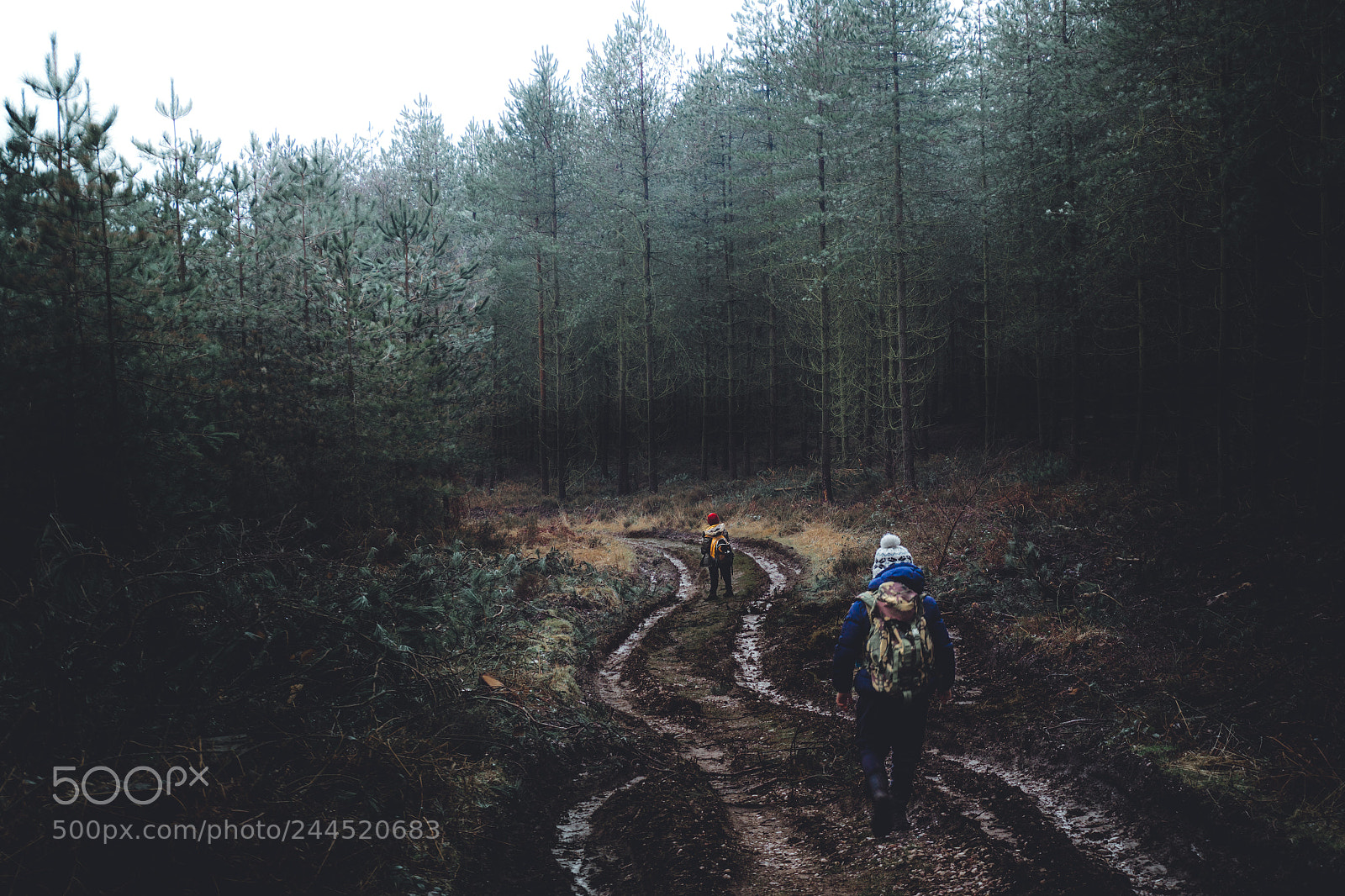Sony a6300 sample photo. Forest adventure photography