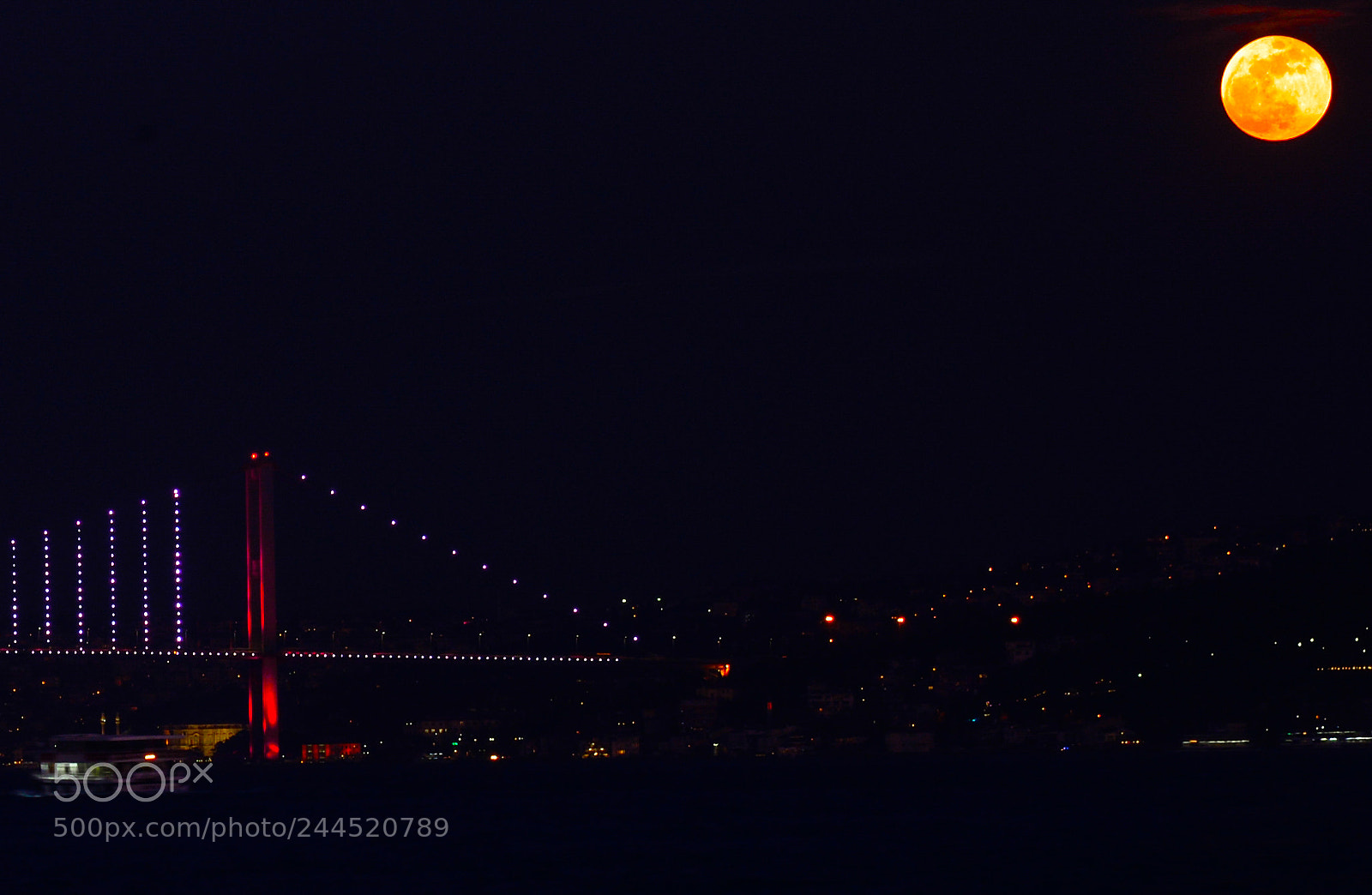 Nikon D610 sample photo. Super blue blood moon photography