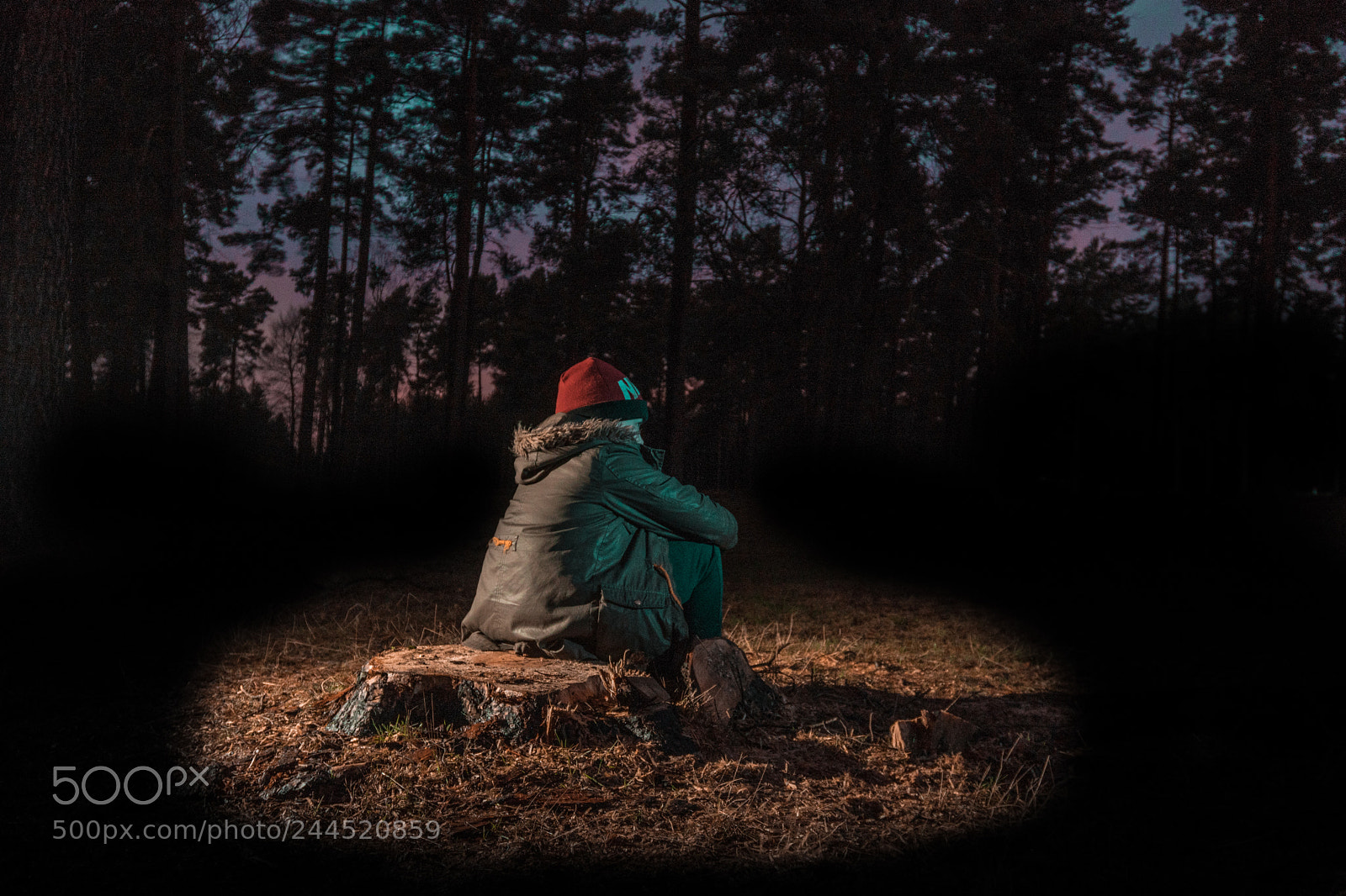 Sony a6300 sample photo. Forest adventure photography