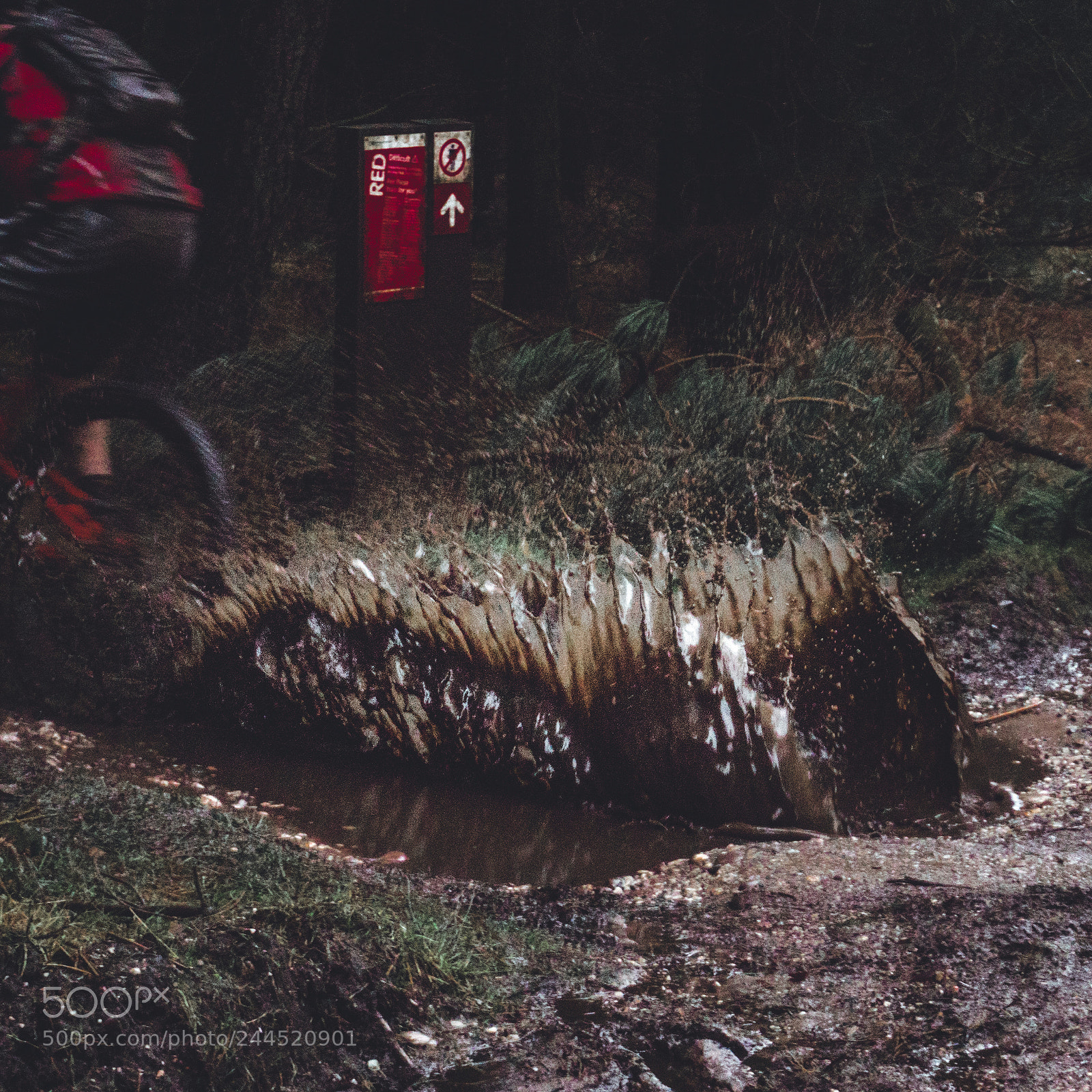 Sony a6300 sample photo. Mud photography