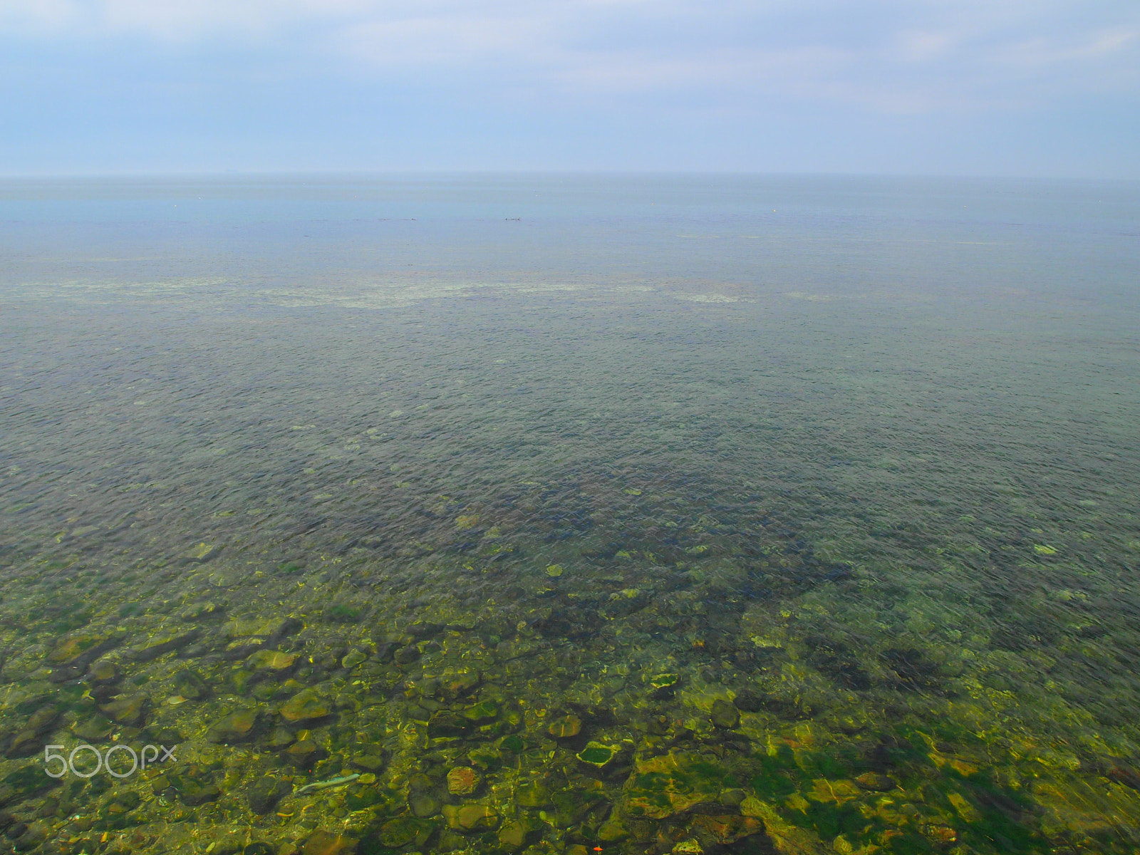 Olympus PEN E-PM1 sample photo. Green sea photography