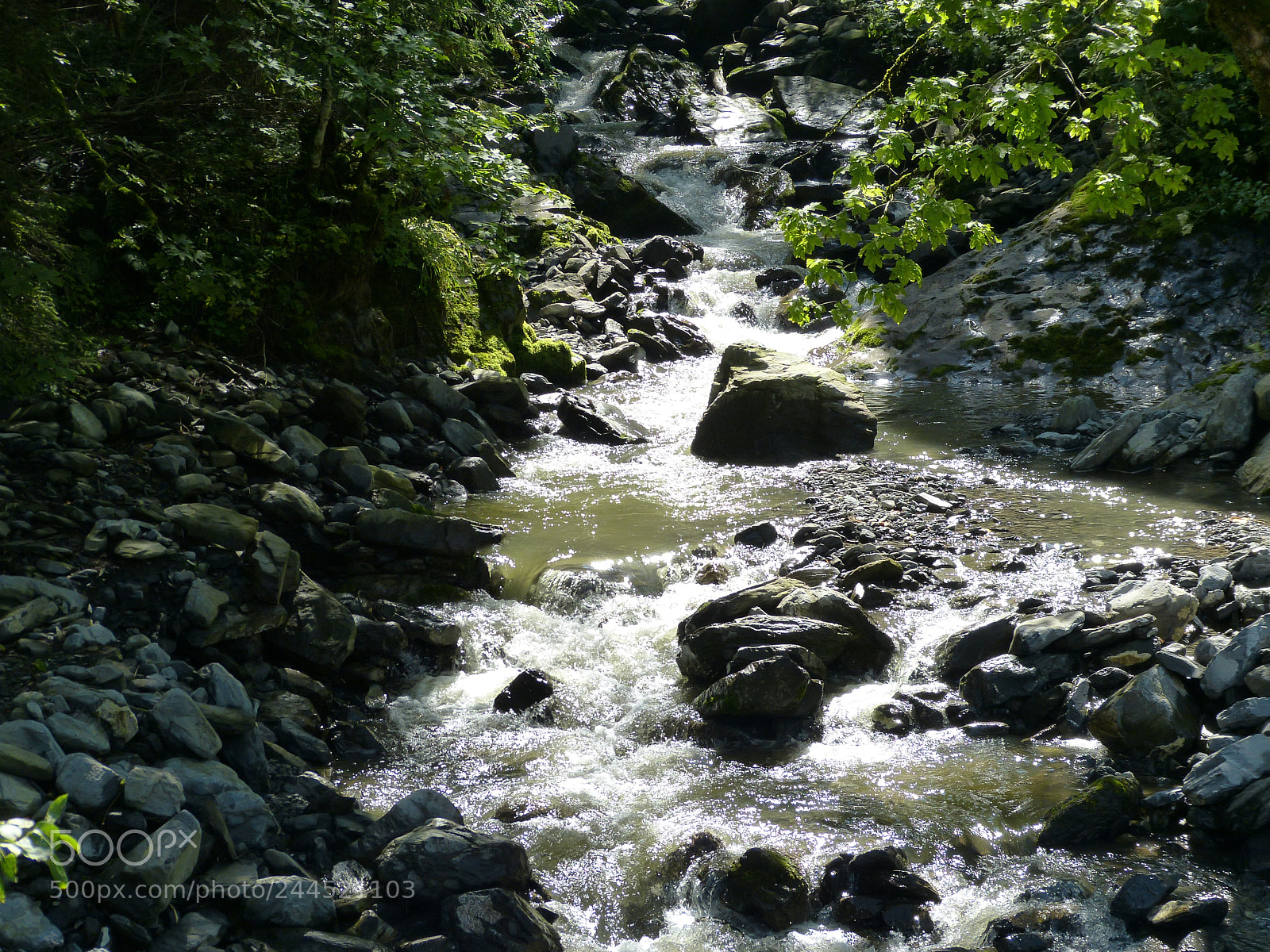 Panasonic Lumix DMC-FZ150 sample photo. Untitled photography