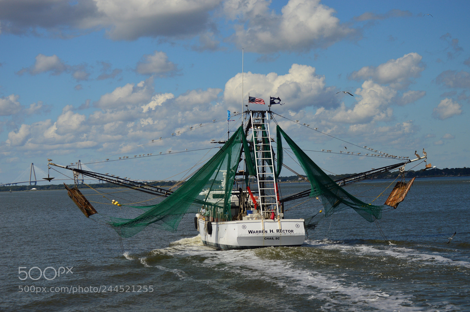 Nikon D3200 sample photo. Sailing on cooper river photography