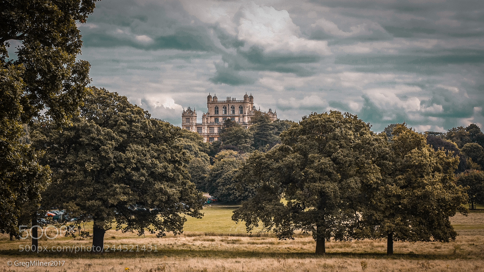 Canon EOS 40D sample photo. Wollaton photography