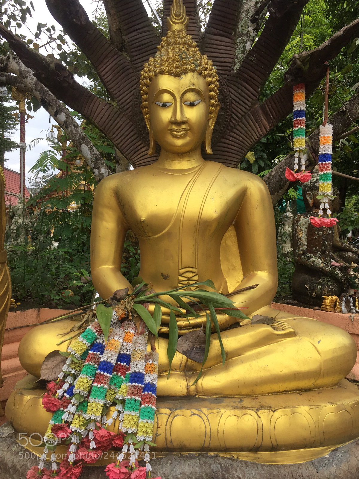 Apple iPhone 6 sample photo. Adorned buddha photography