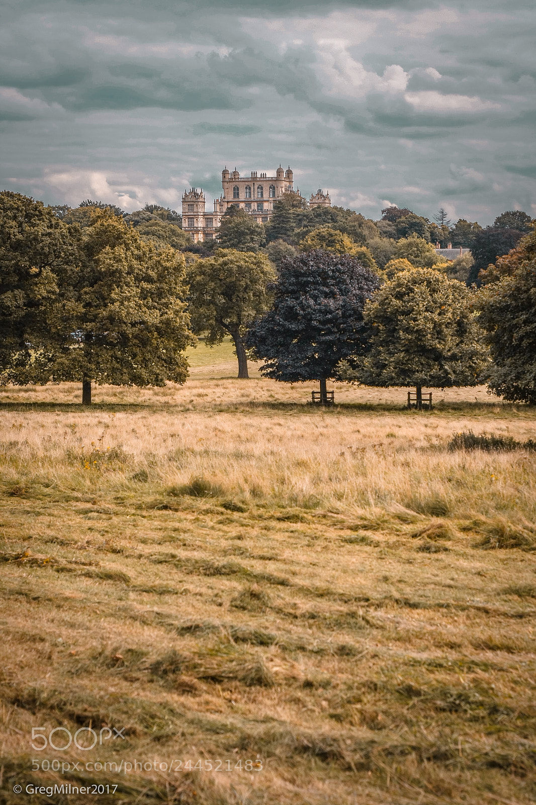 Canon EOS 40D sample photo. Wollaton photography
