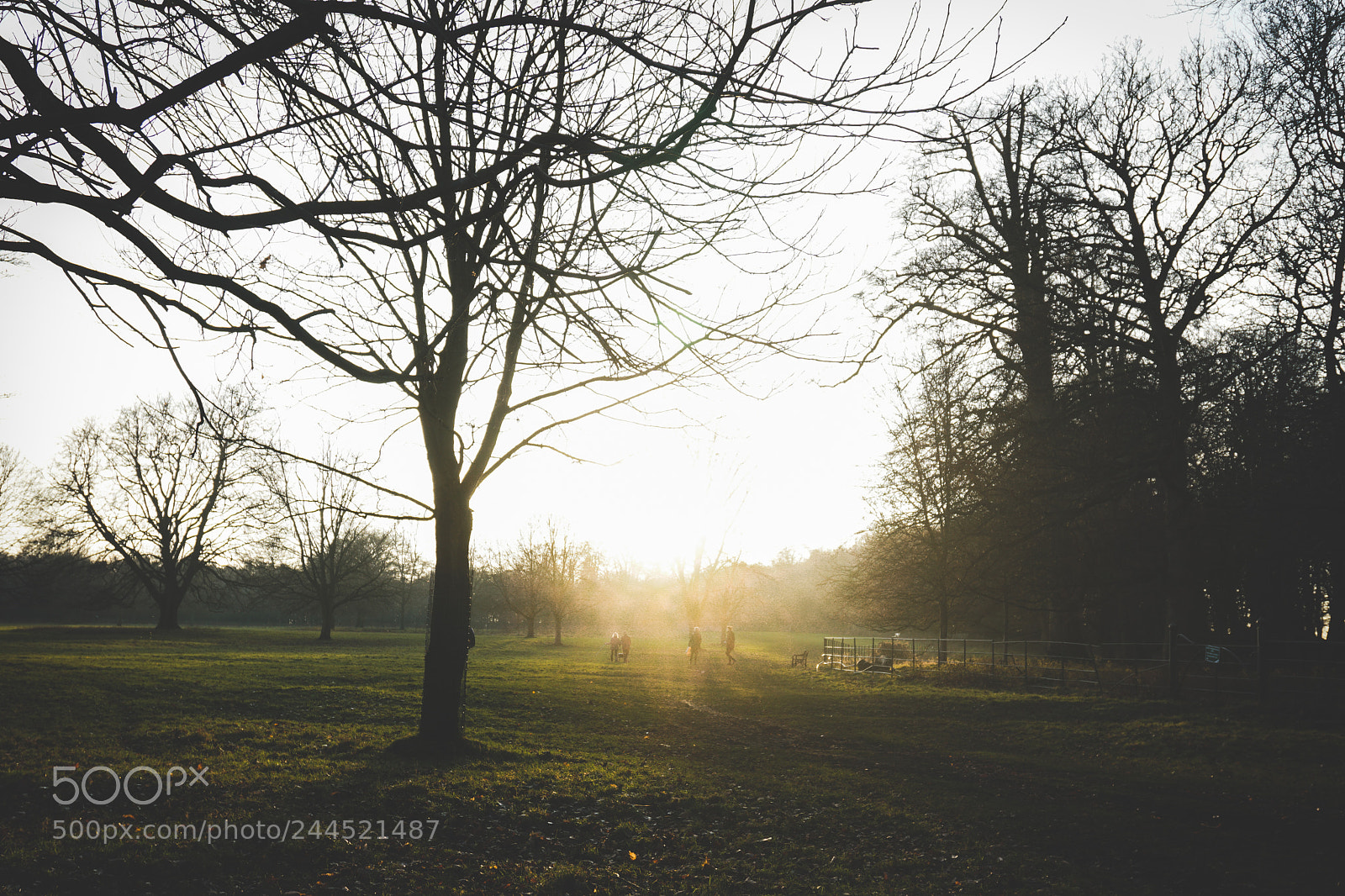 Sony a6300 sample photo. Wollatonxmas photography