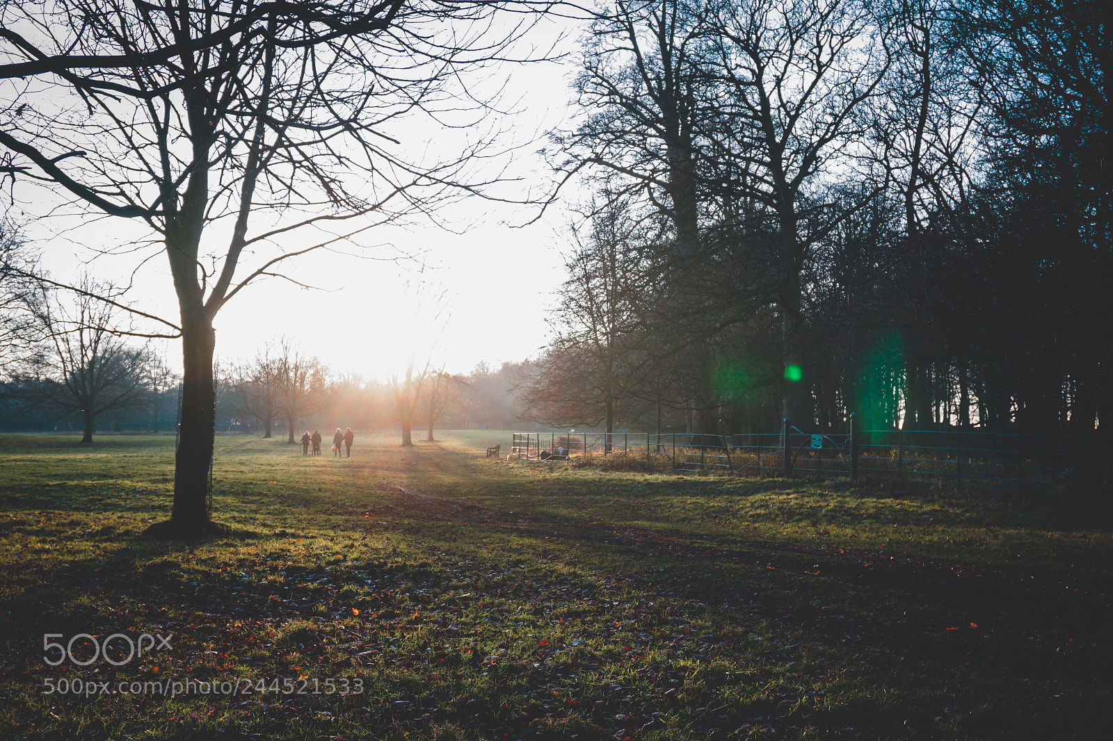 Sony a6300 sample photo. Wollatonxmas photography