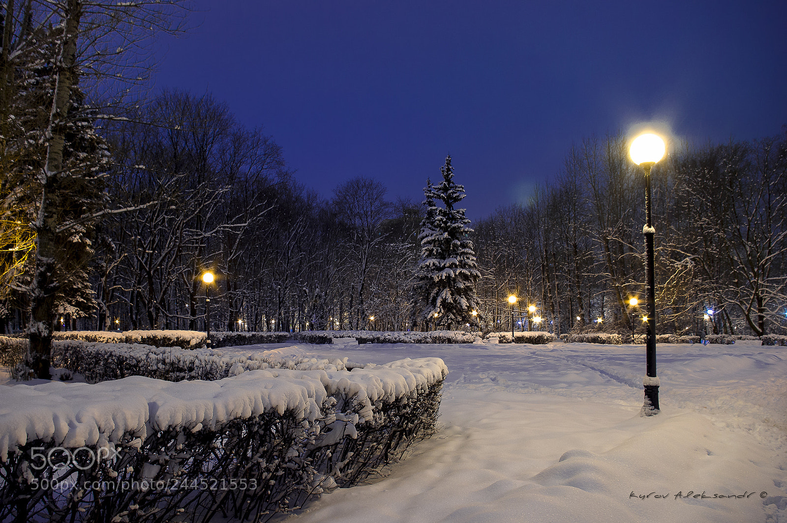 Pentax K20D sample photo. Winter evening in the photography