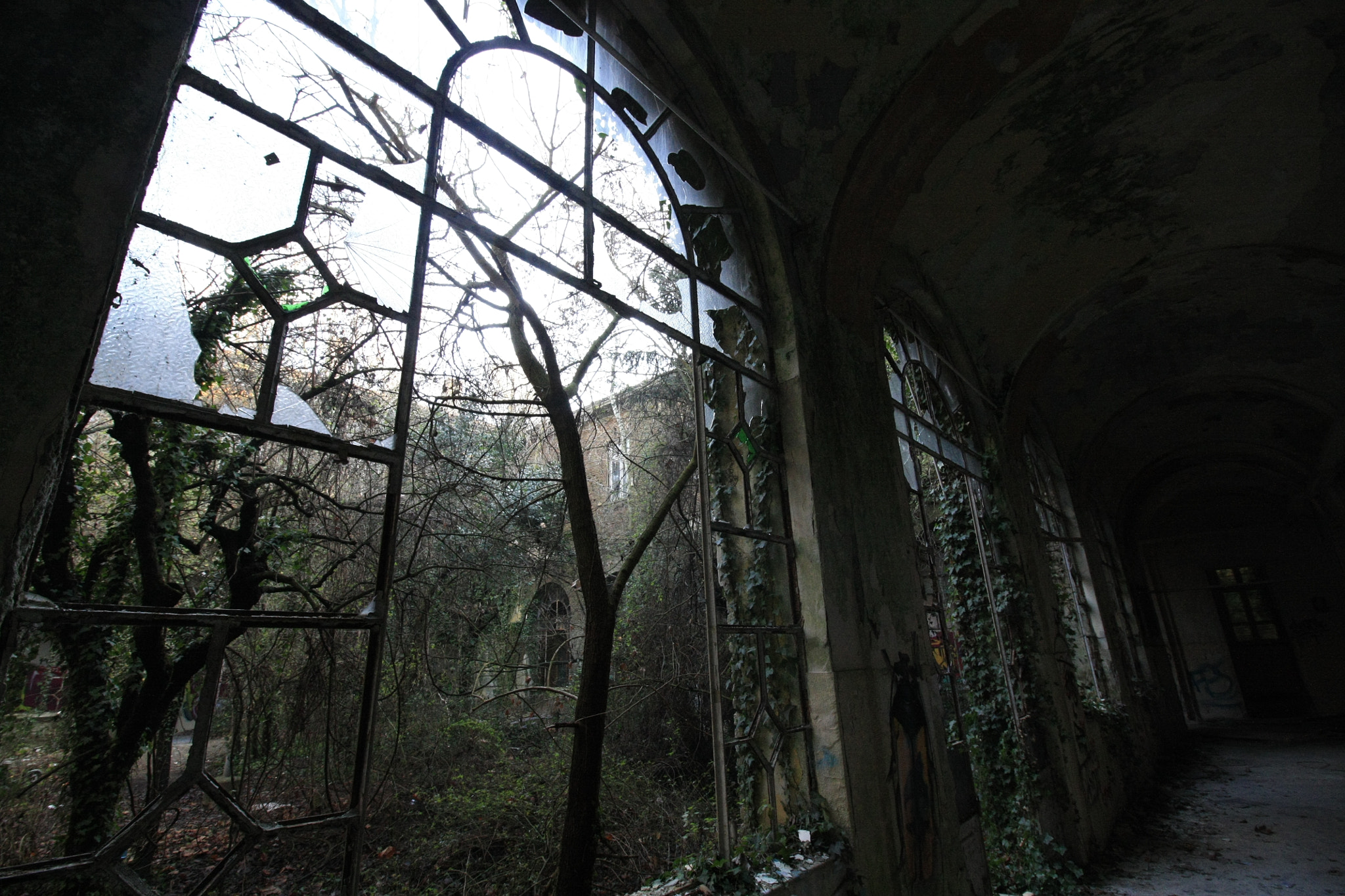 Canon EOS 450D (EOS Rebel XSi / EOS Kiss X2) sample photo. Creepy window photography