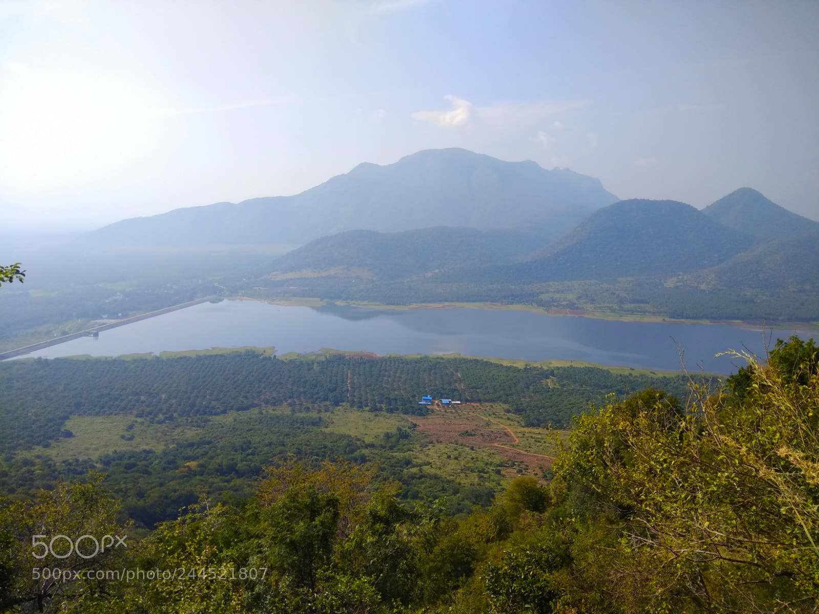 Xiaomi Redmi Note 4 sample photo. Morning.. photography