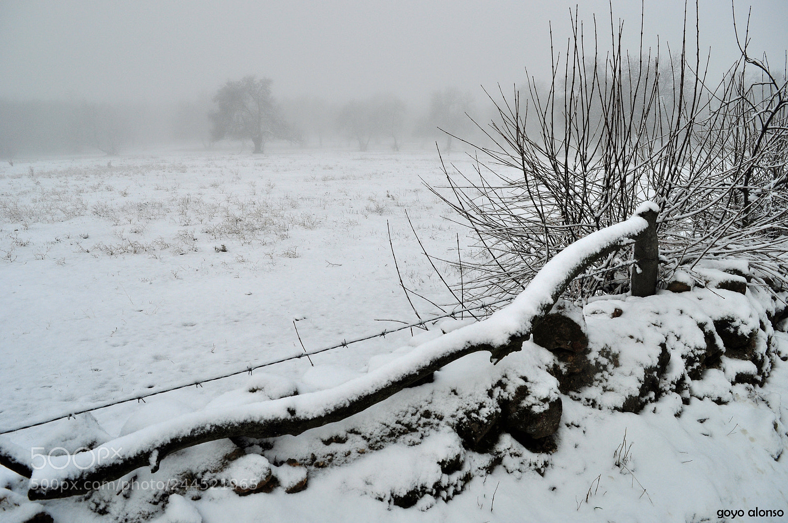 Nikon D5000 sample photo. Nieves photography