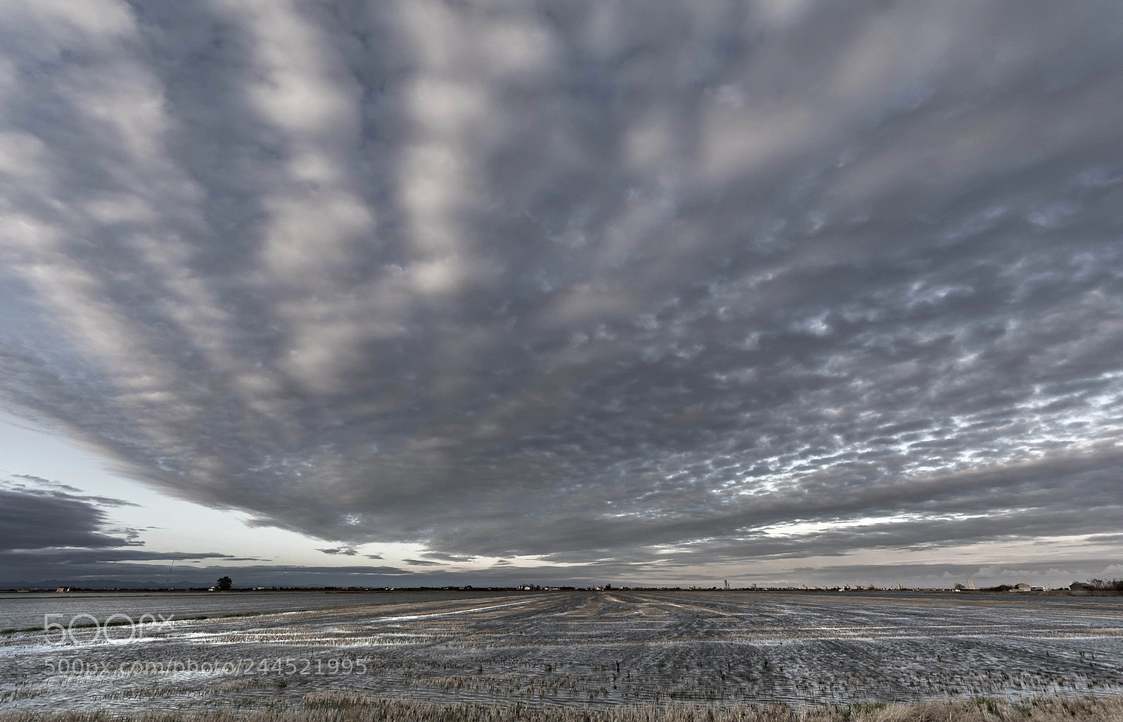 Nikon D7100 sample photo. Stratocumulus. photography