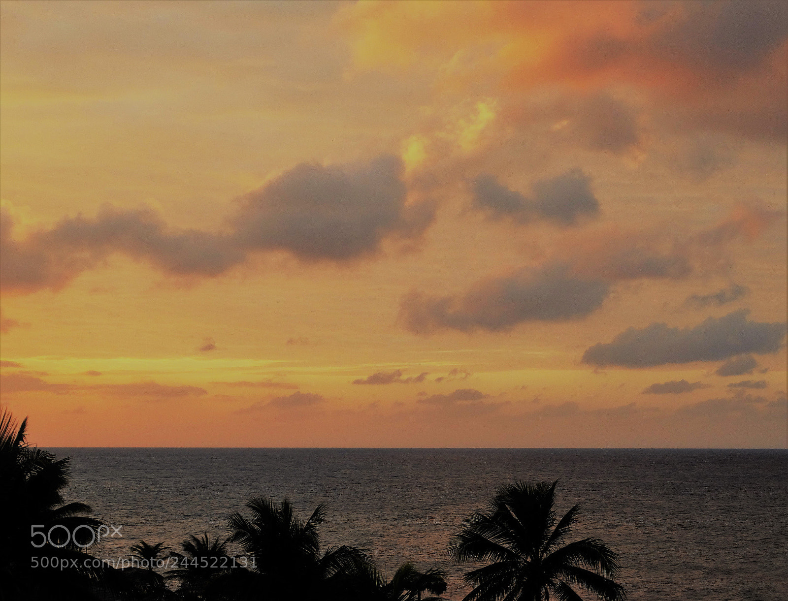 Sony Cyber-shot DSC-HX300 sample photo. Sky's watercolor photography