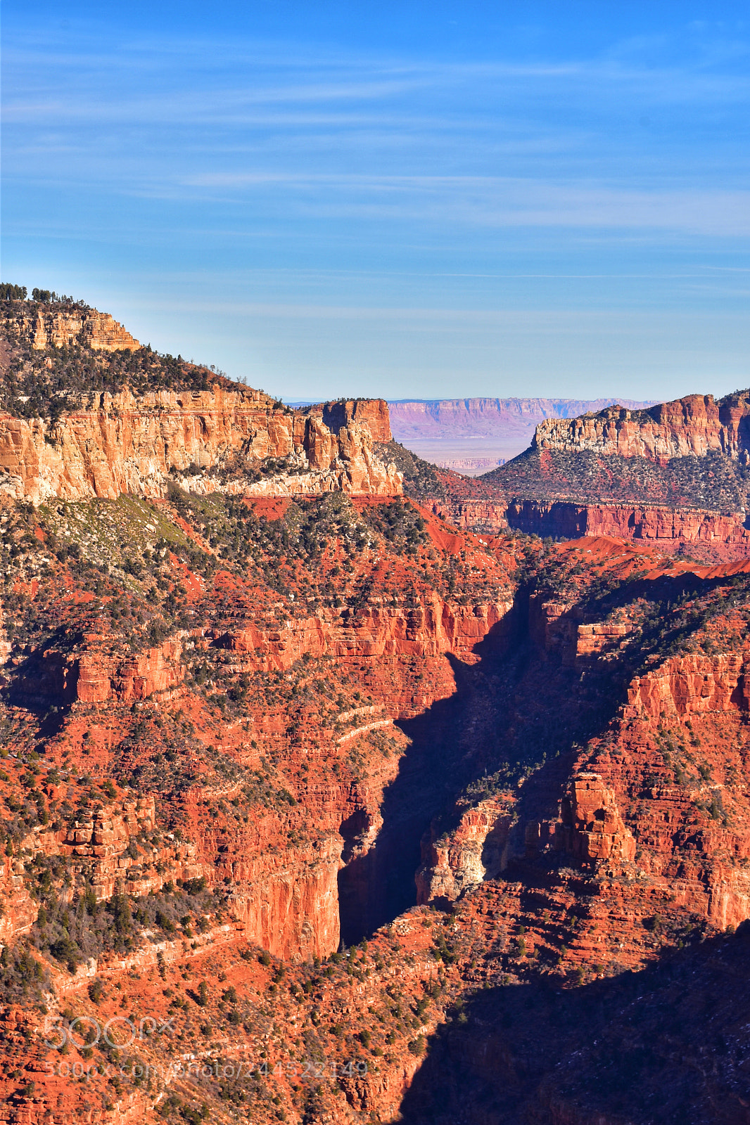 Nikon D5600 sample photo. Grand canyon photography