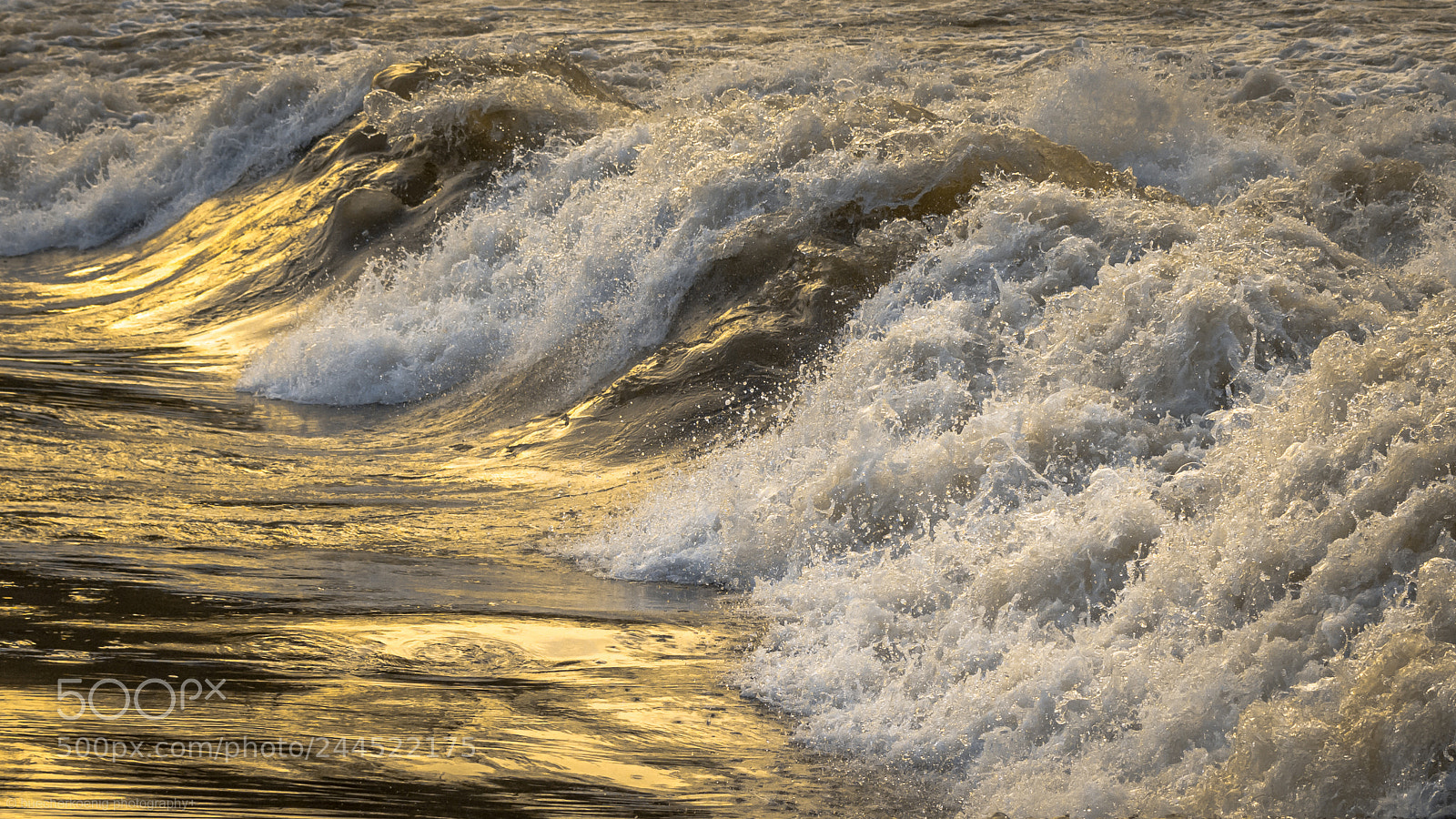 Nikon D7200 sample photo. Golden river photography