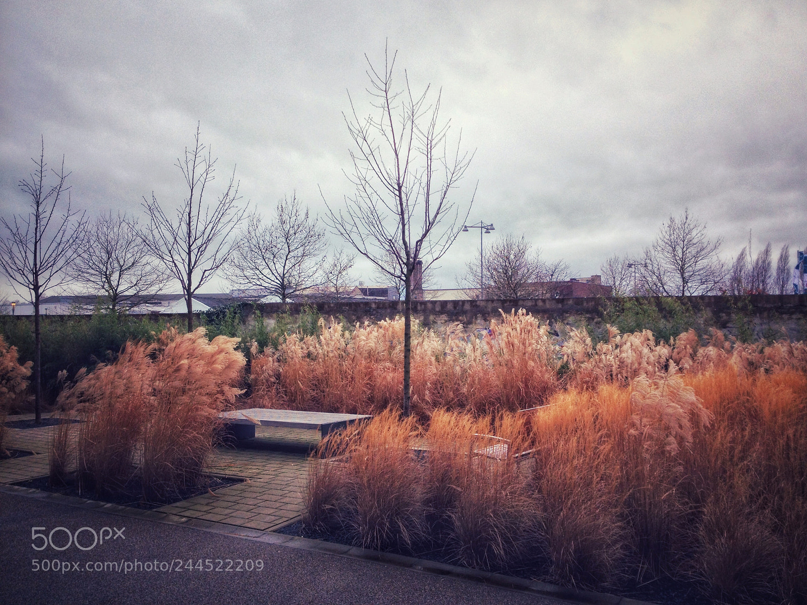 Apple iPhone 4S sample photo. Untitled photography