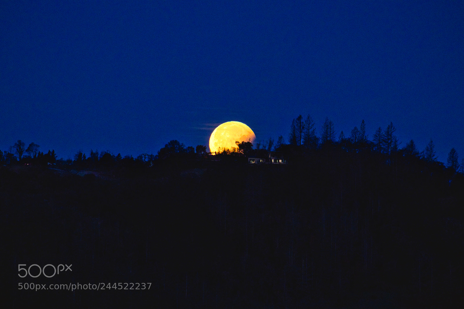 Canon EOS 77D (EOS 9000D / EOS 770D) sample photo. Super blue blood lunar photography