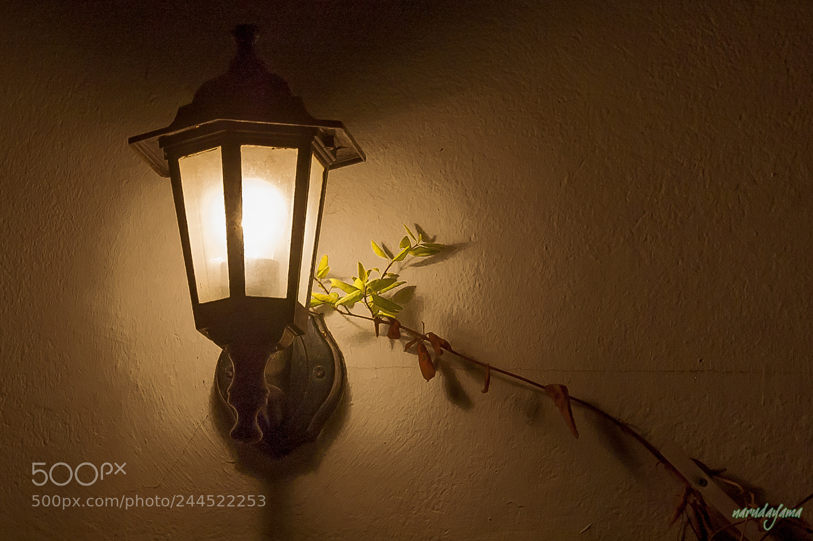 Nikon D70s sample photo. La luz de la photography