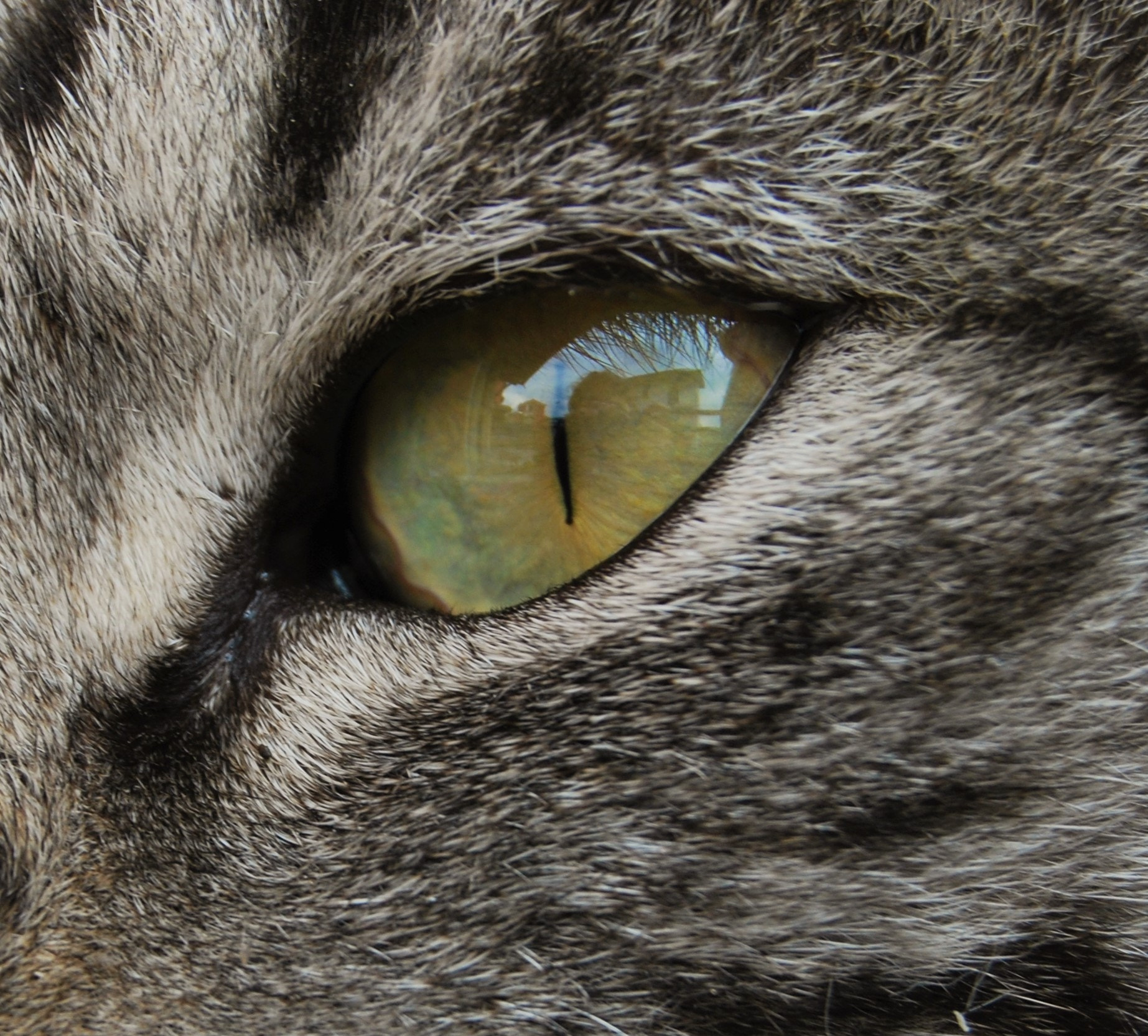 Nikon D60 sample photo. Details photography
