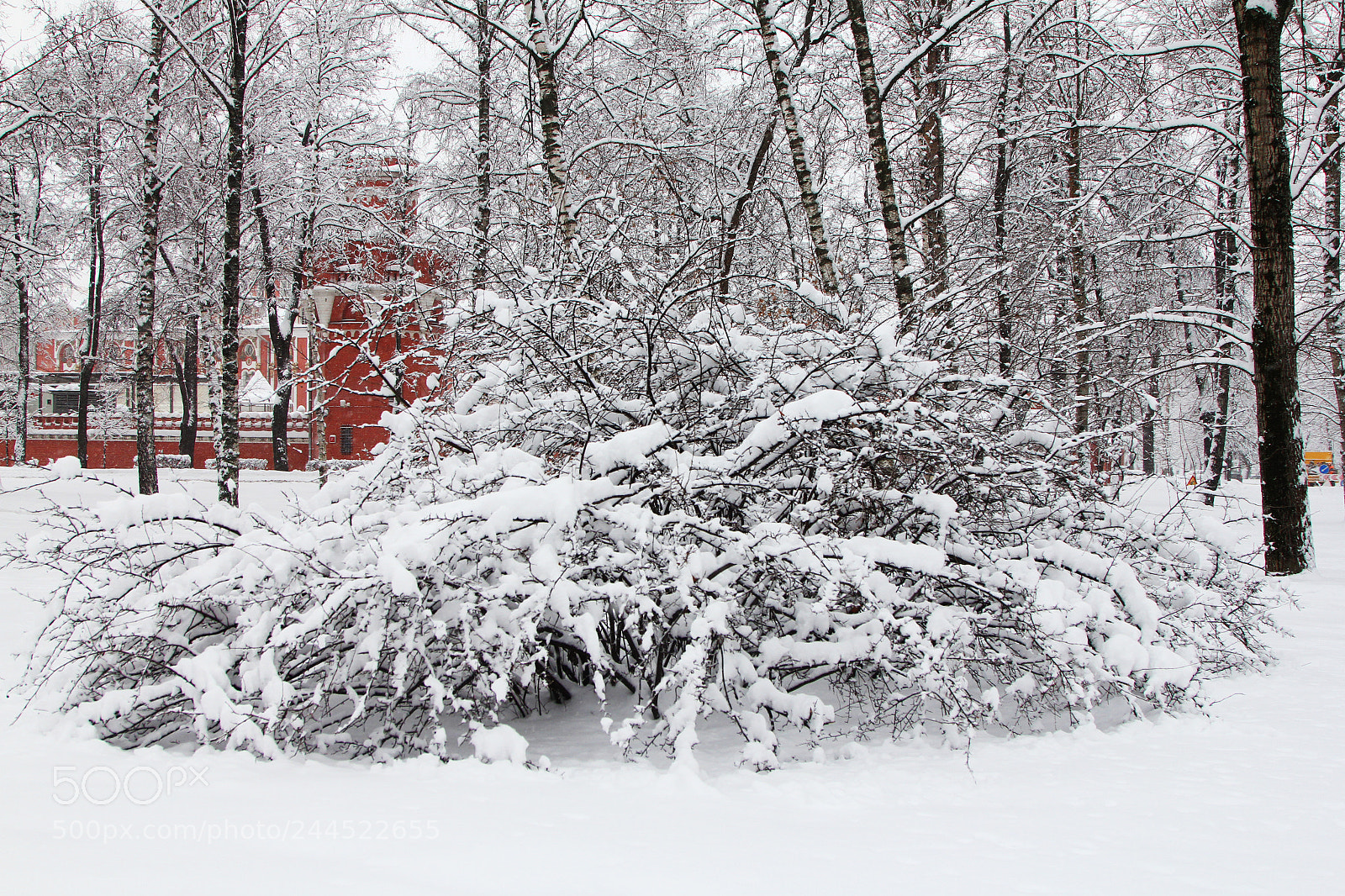 Canon EOS 60D sample photo. Snowly day photography