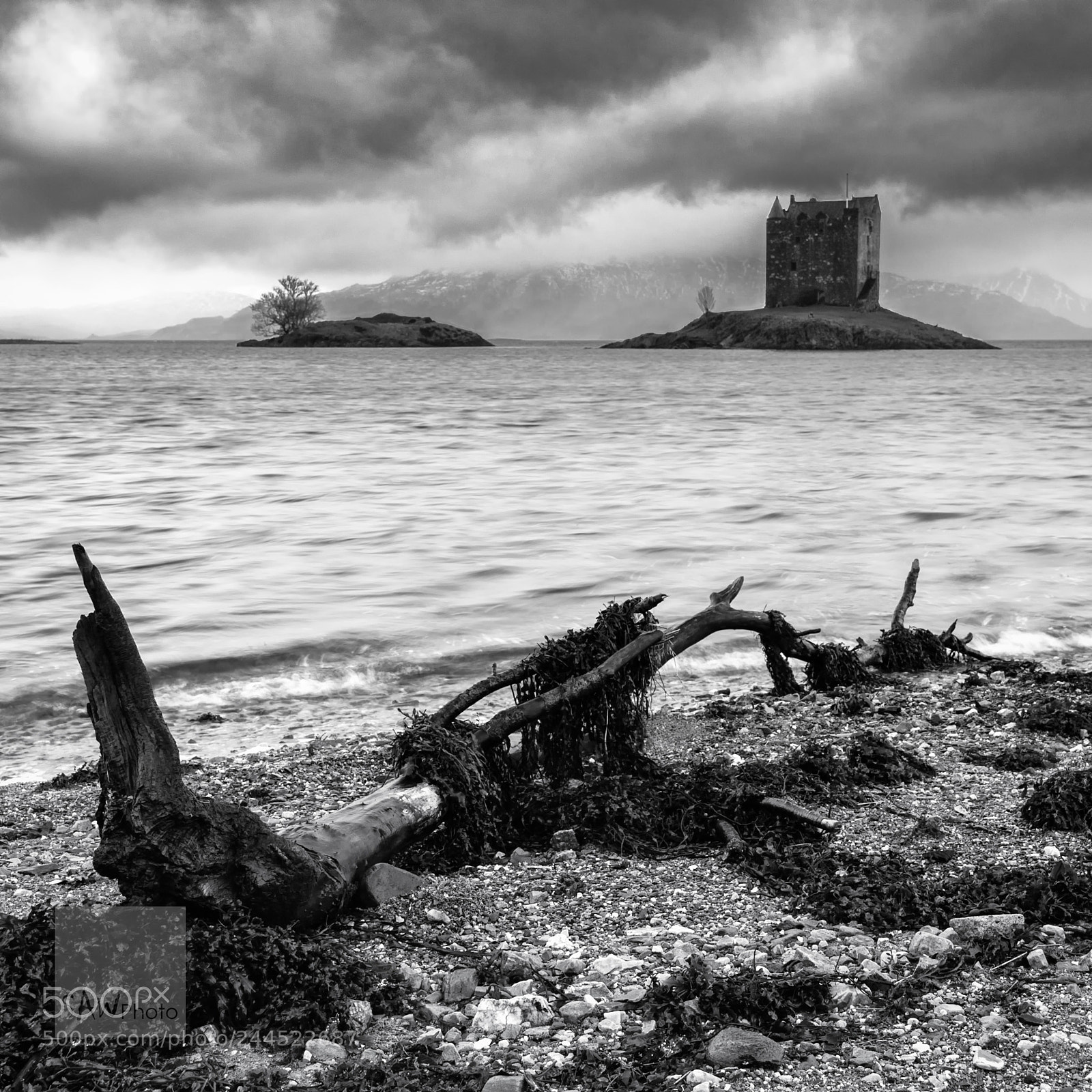 Nikon D3 sample photo. Driftwood, sea and an photography