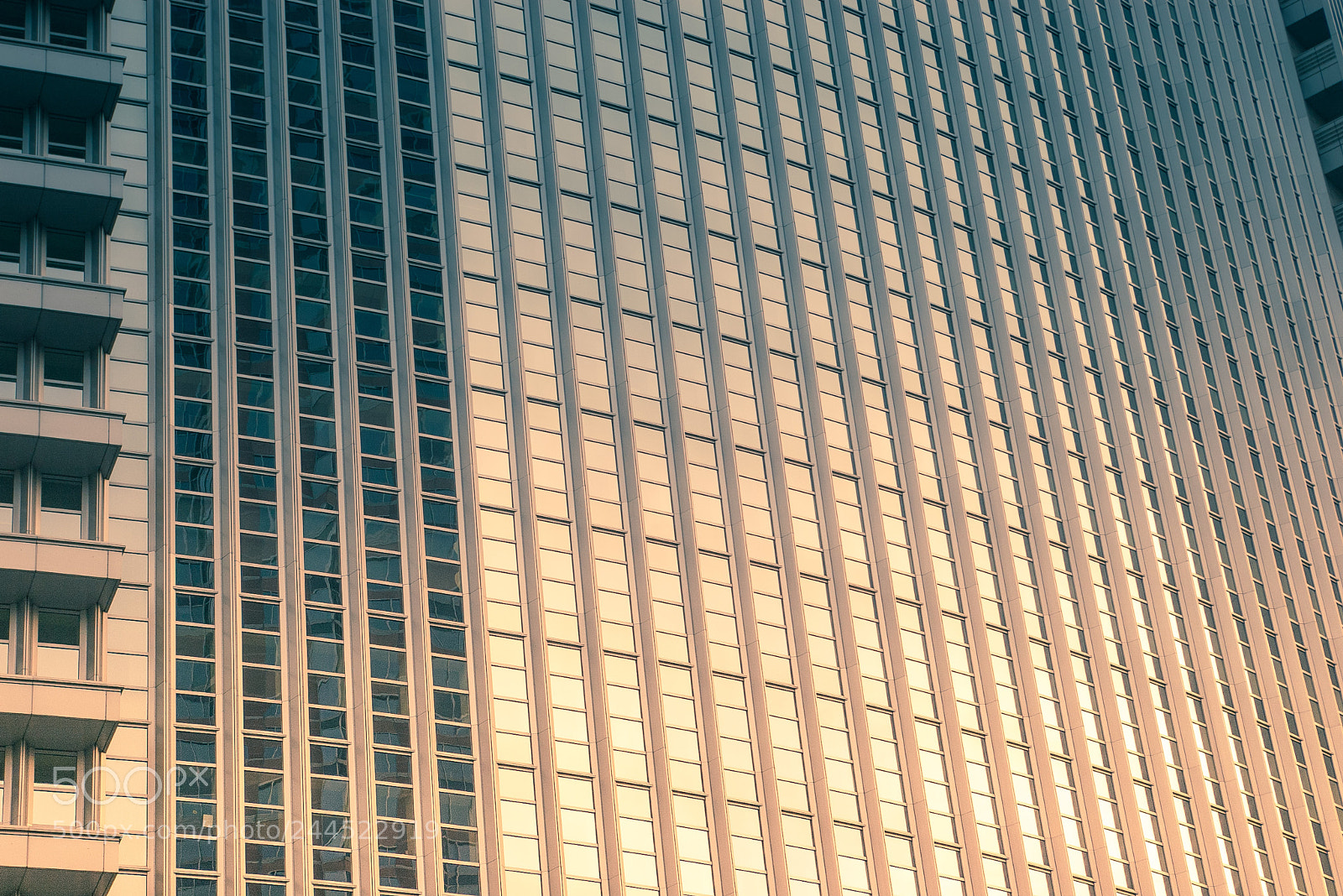 Pentax K100D sample photo. Windows over windows photography