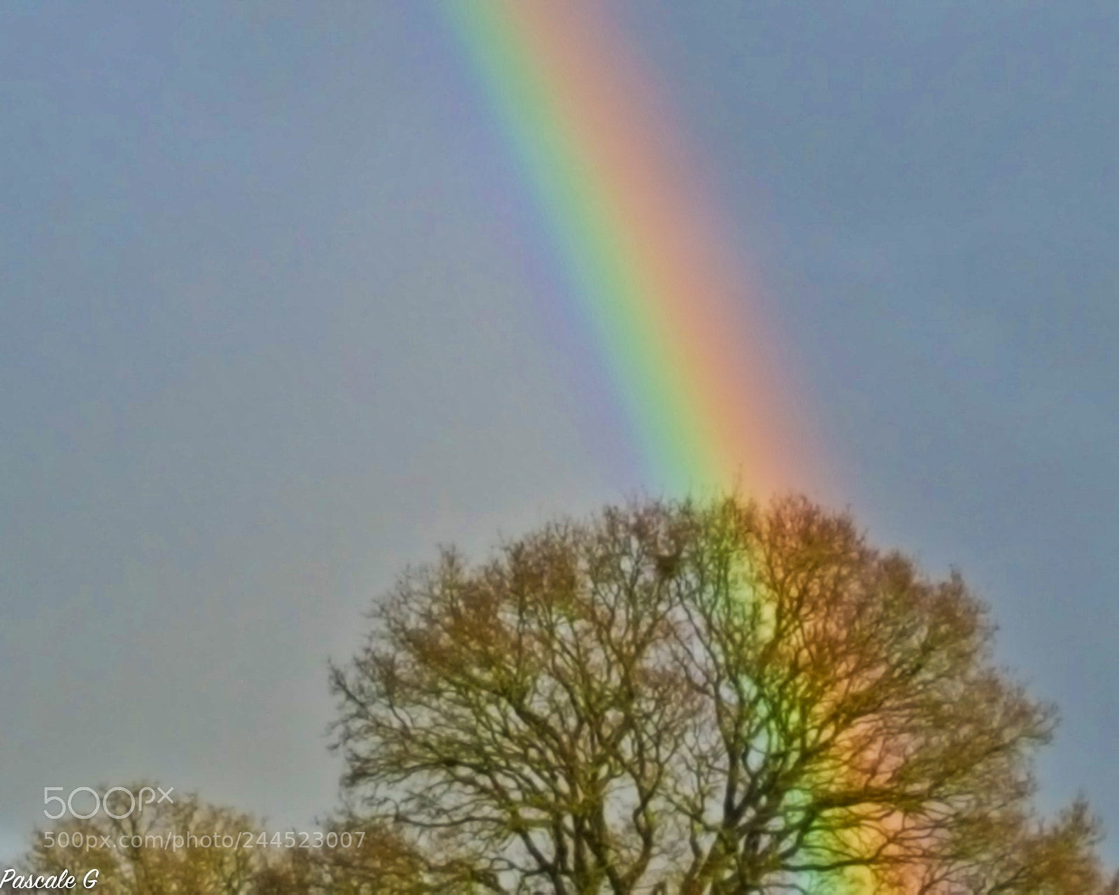 Samsung Galaxy S6 sample photo. Rainbow photography
