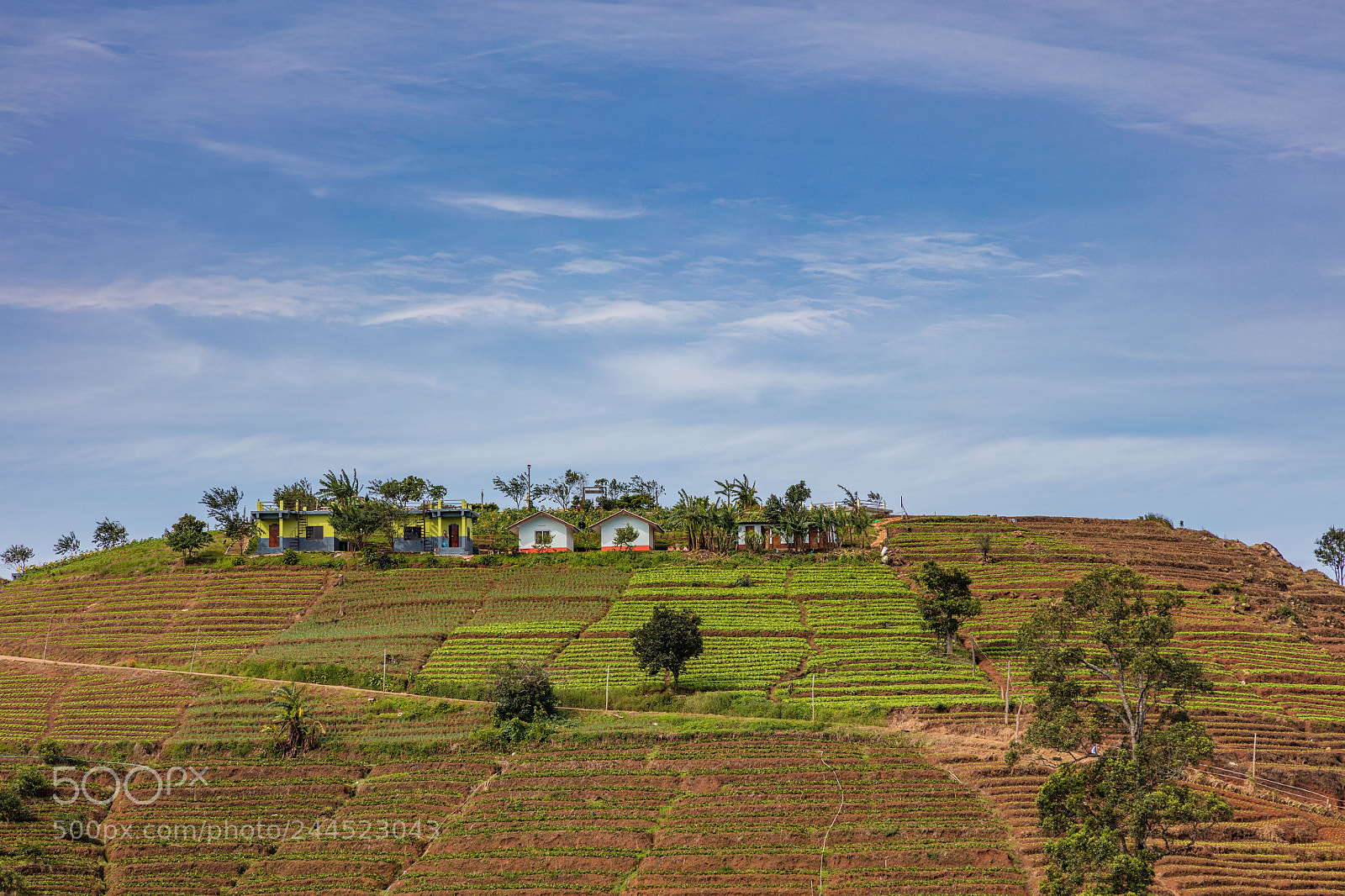 Canon EOS 5DS R sample photo. Moncham farmland photography