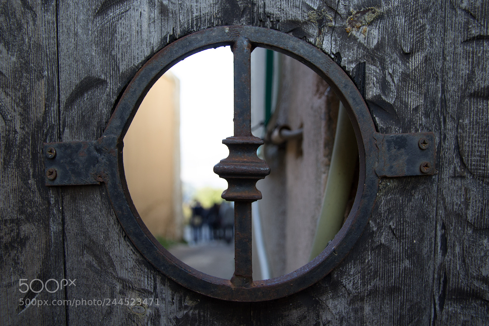 Canon EOS 1200D (EOS Rebel T5 / EOS Kiss X70 / EOS Hi) sample photo. Through the fence photography