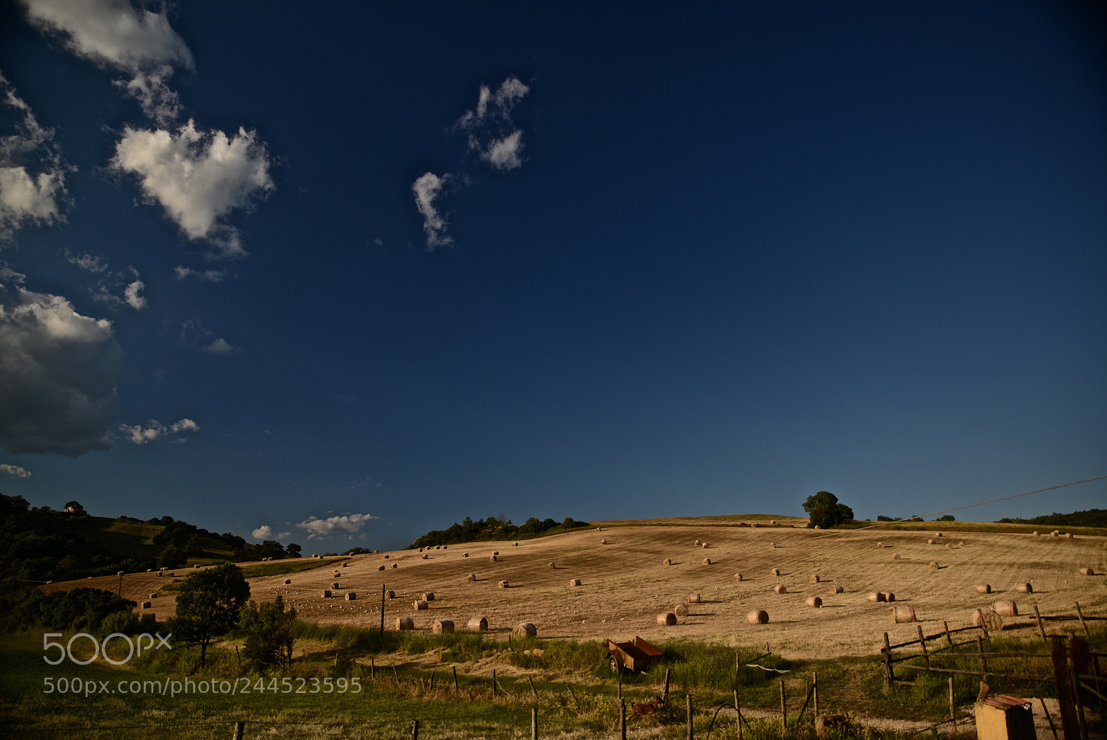 Nikon D600 sample photo. La bellezza e la photography