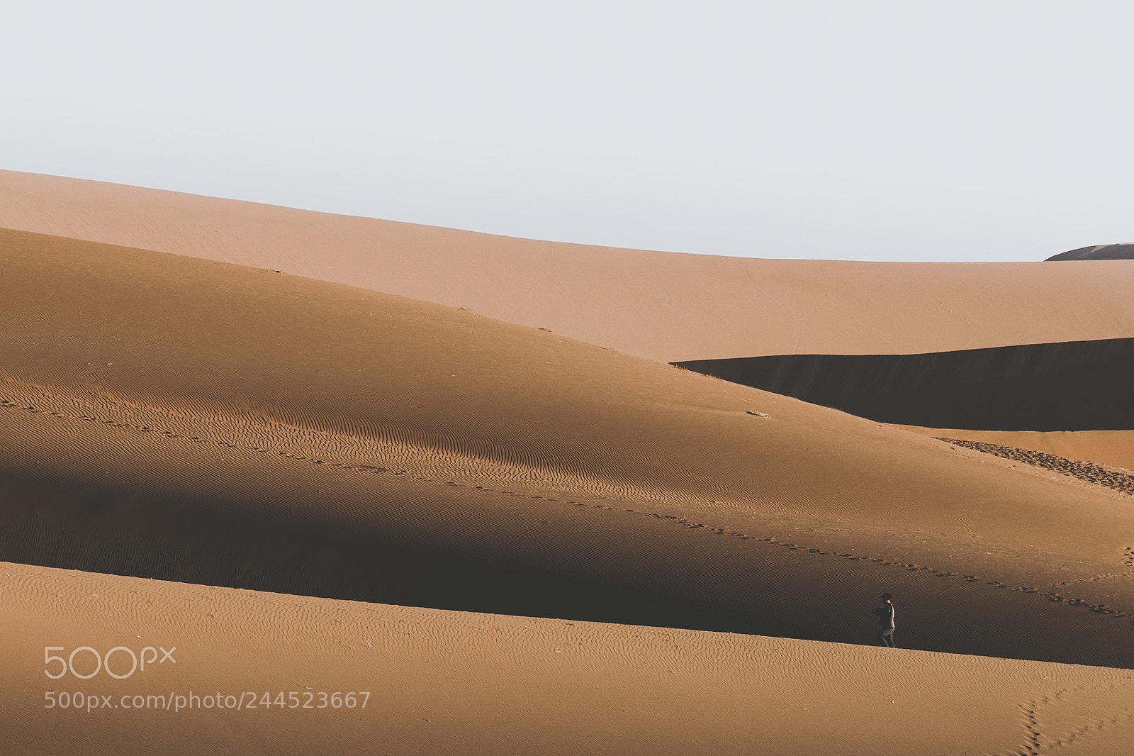 Olympus OM-D E-M1 Mark II sample photo. Dune man photography