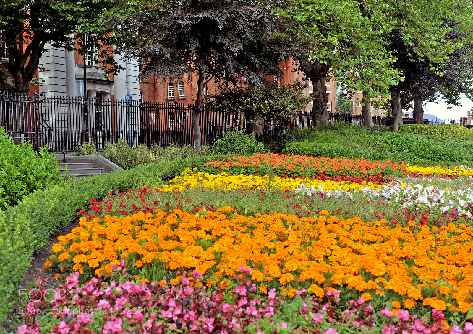 Nikon D700 sample photo. Dublin irlznde photography