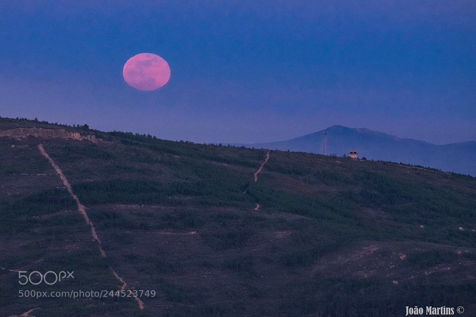 Fujifilm X-T1 sample photo. Superbloodmoon photography