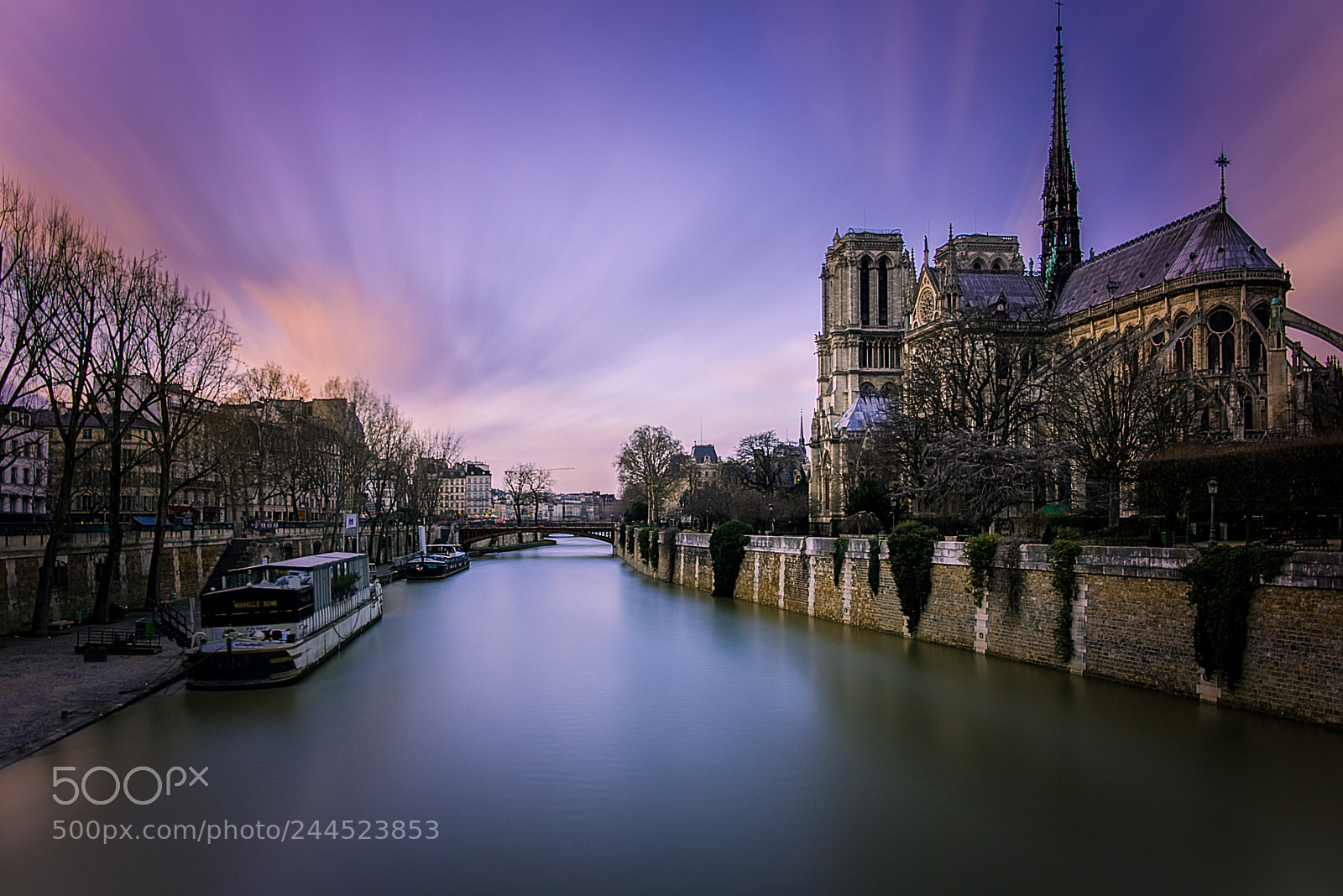 Nikon D7200 sample photo. Notre dame en pleine photography