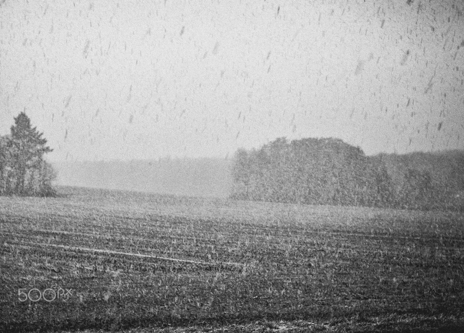 Leica M8 sample photo. First snow photography