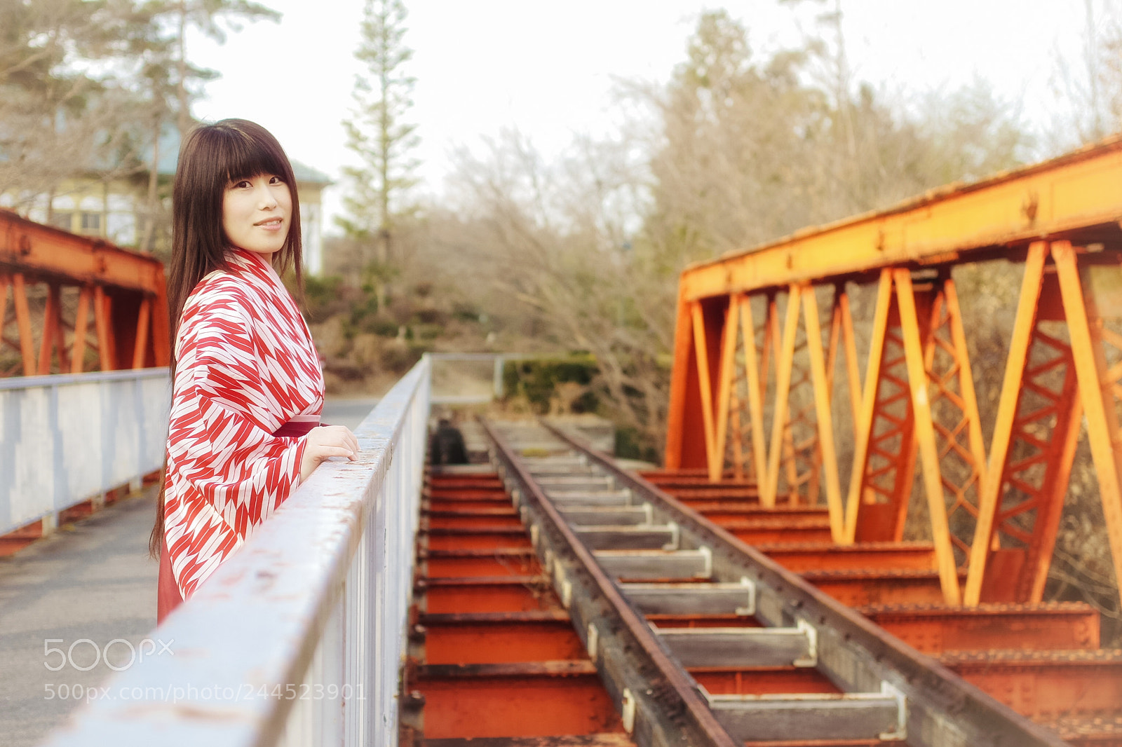 Pentax K-3 sample photo. 【詩趣の風.6-2】 photography