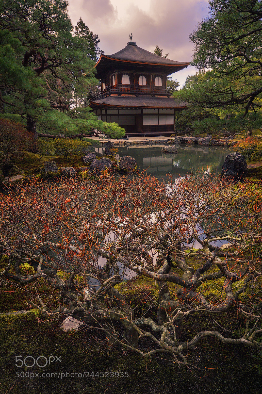 Nikon D3200 sample photo. Kyoto photography